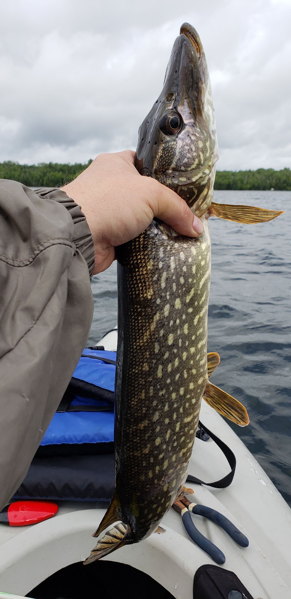 Wilson Lake Rustic Campground & Backcountry Sites