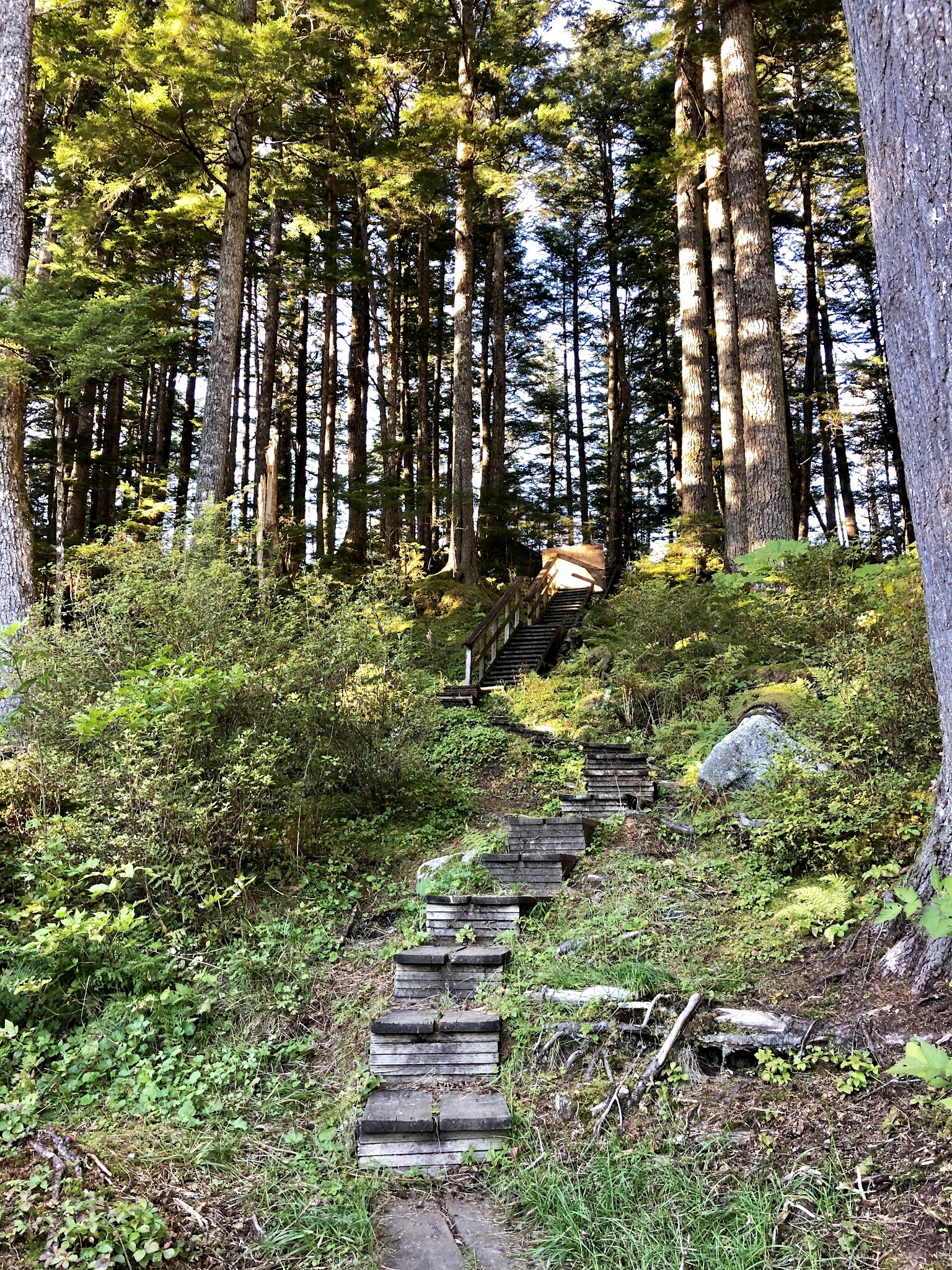 Windfall Lake Cabin