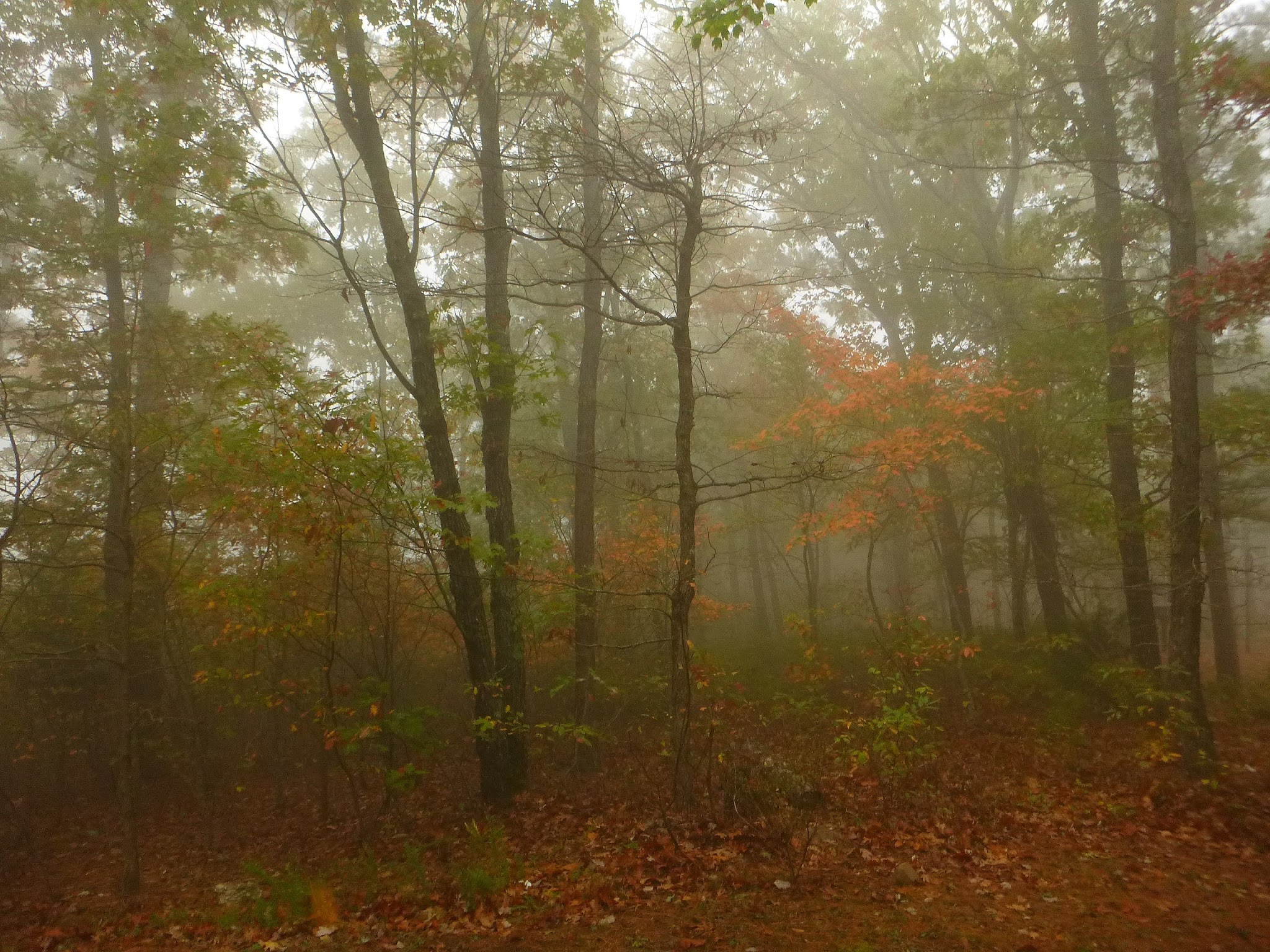 Winding Stair Campground