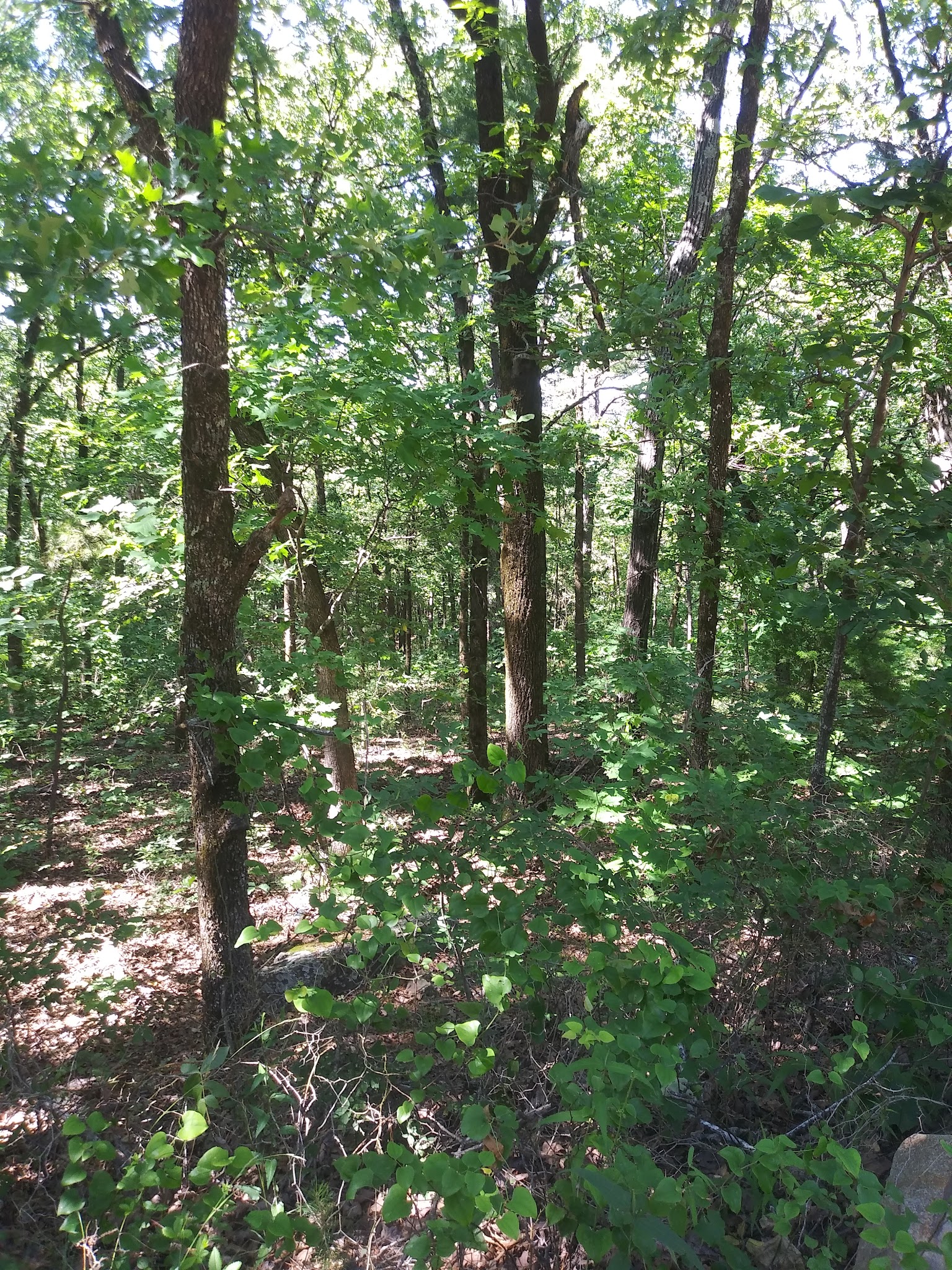 Winding Stair Campground