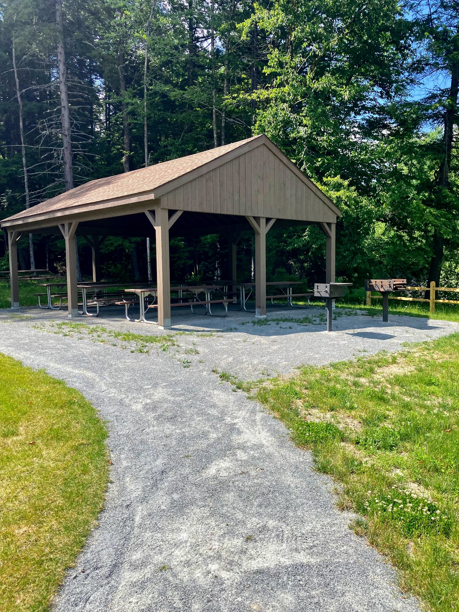 Windsor State Forest