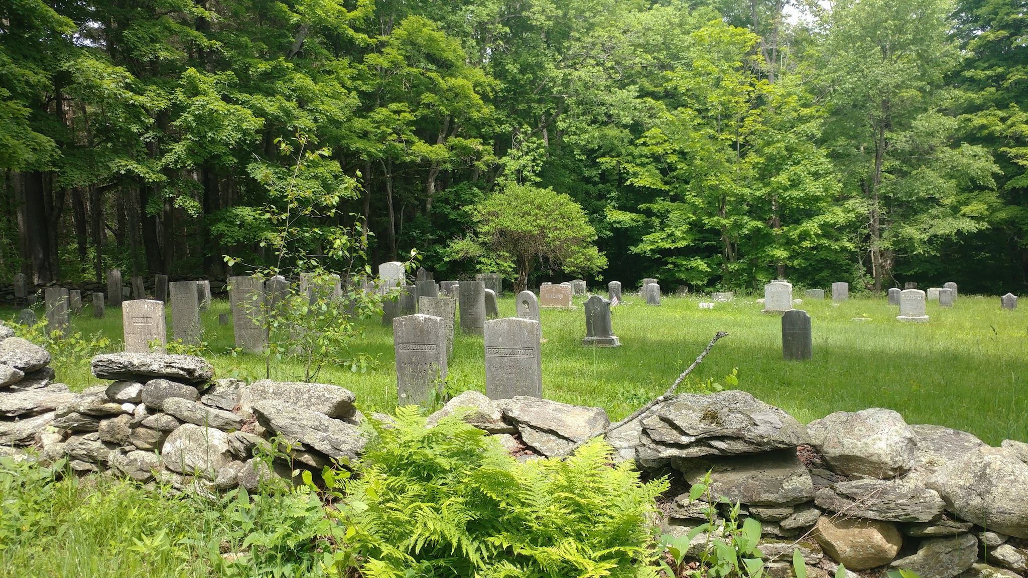 Windsor State Forest