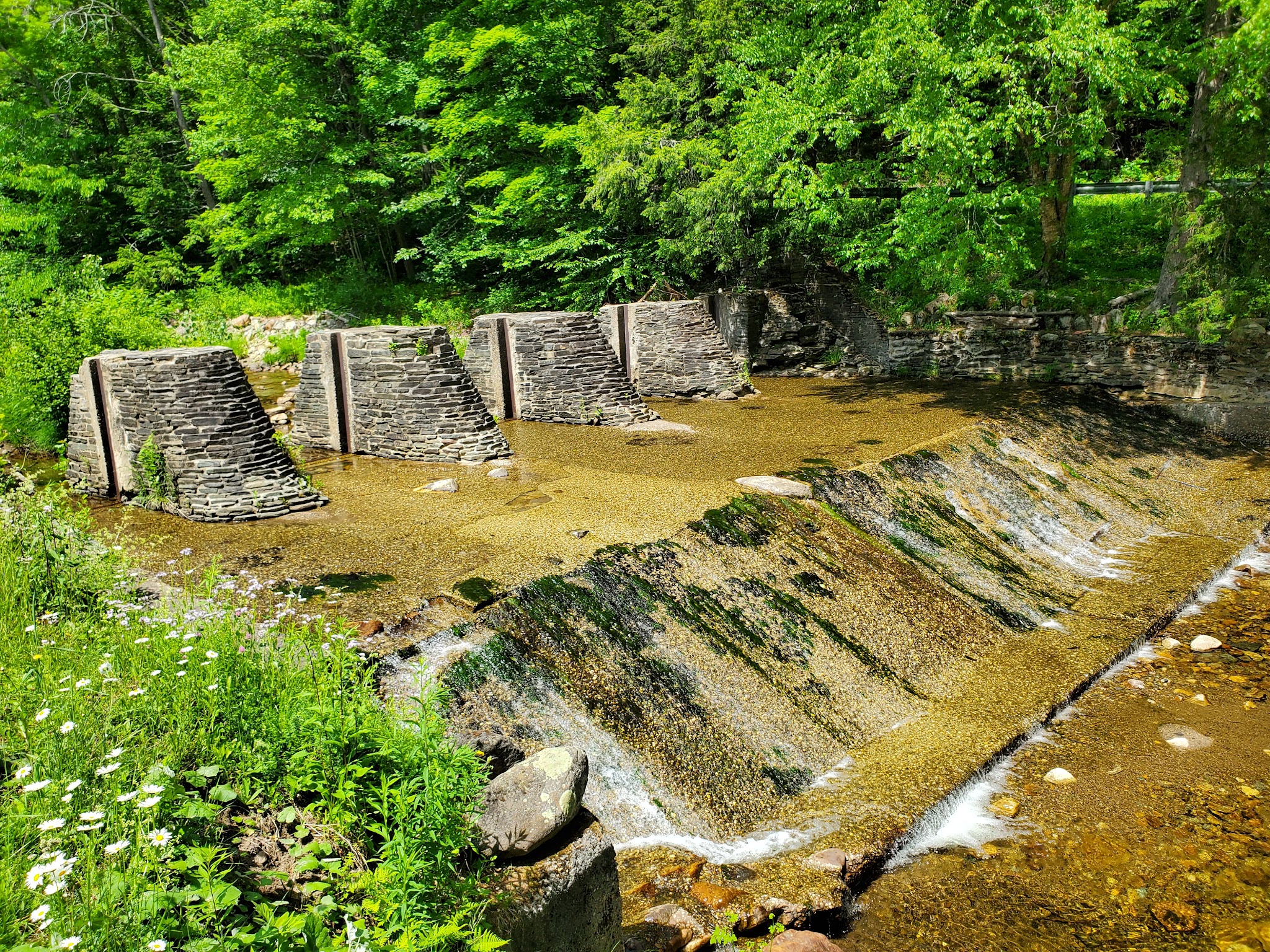 Windsor State Forest