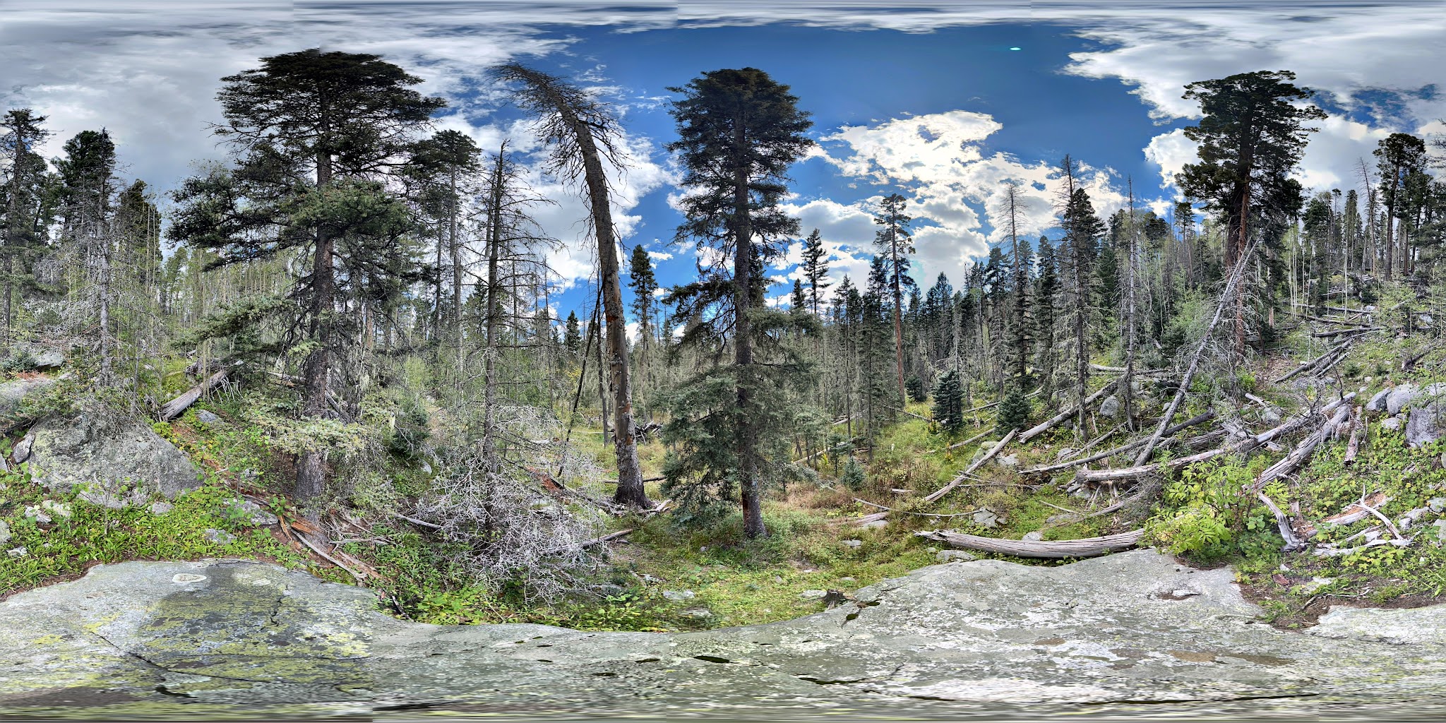 Winsor Ridge Trailhead