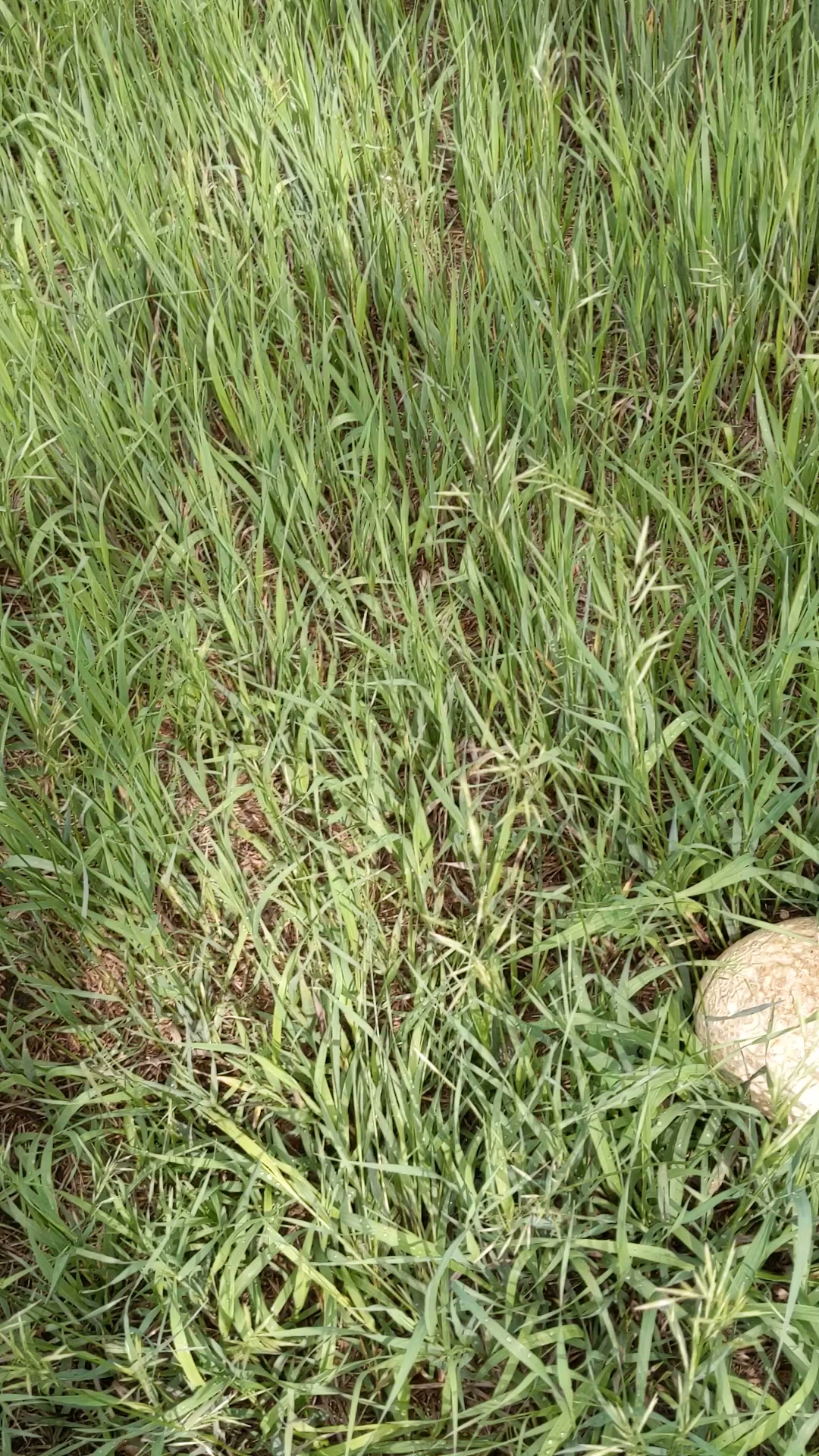 Winsor Ridge Trailhead