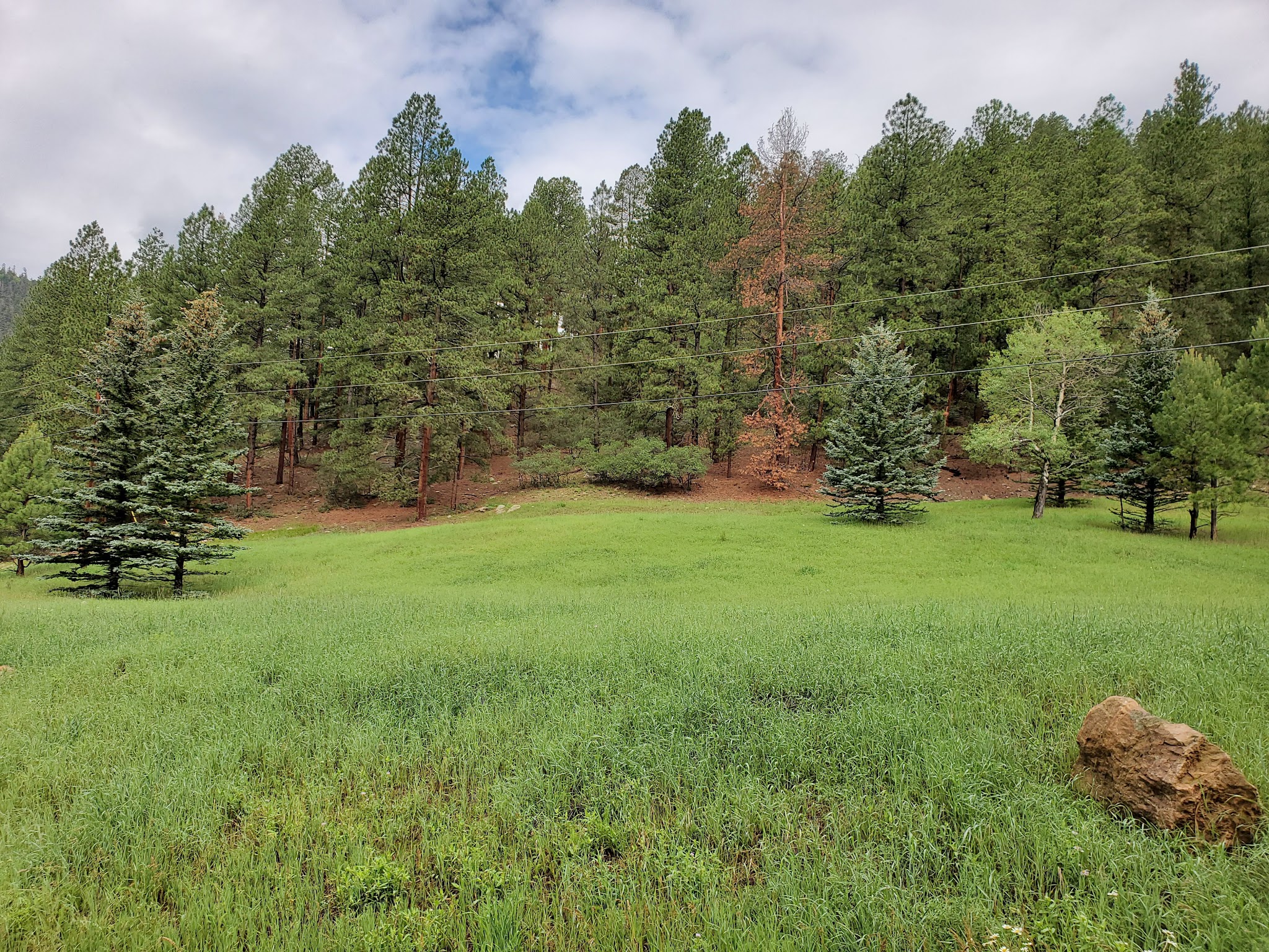Winsor Ridge Trailhead