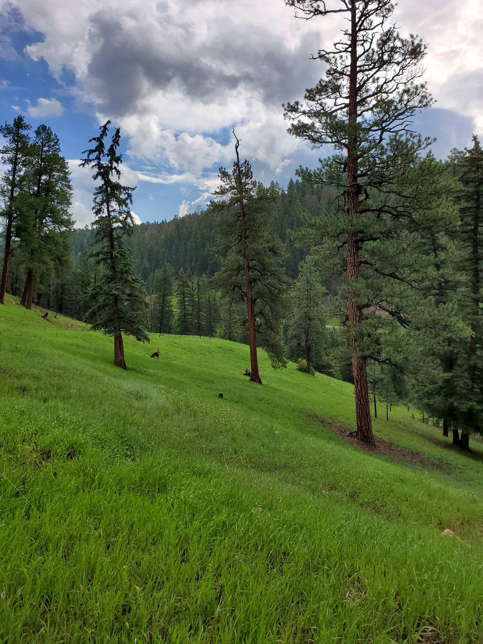 Winsor Ridge Trailhead