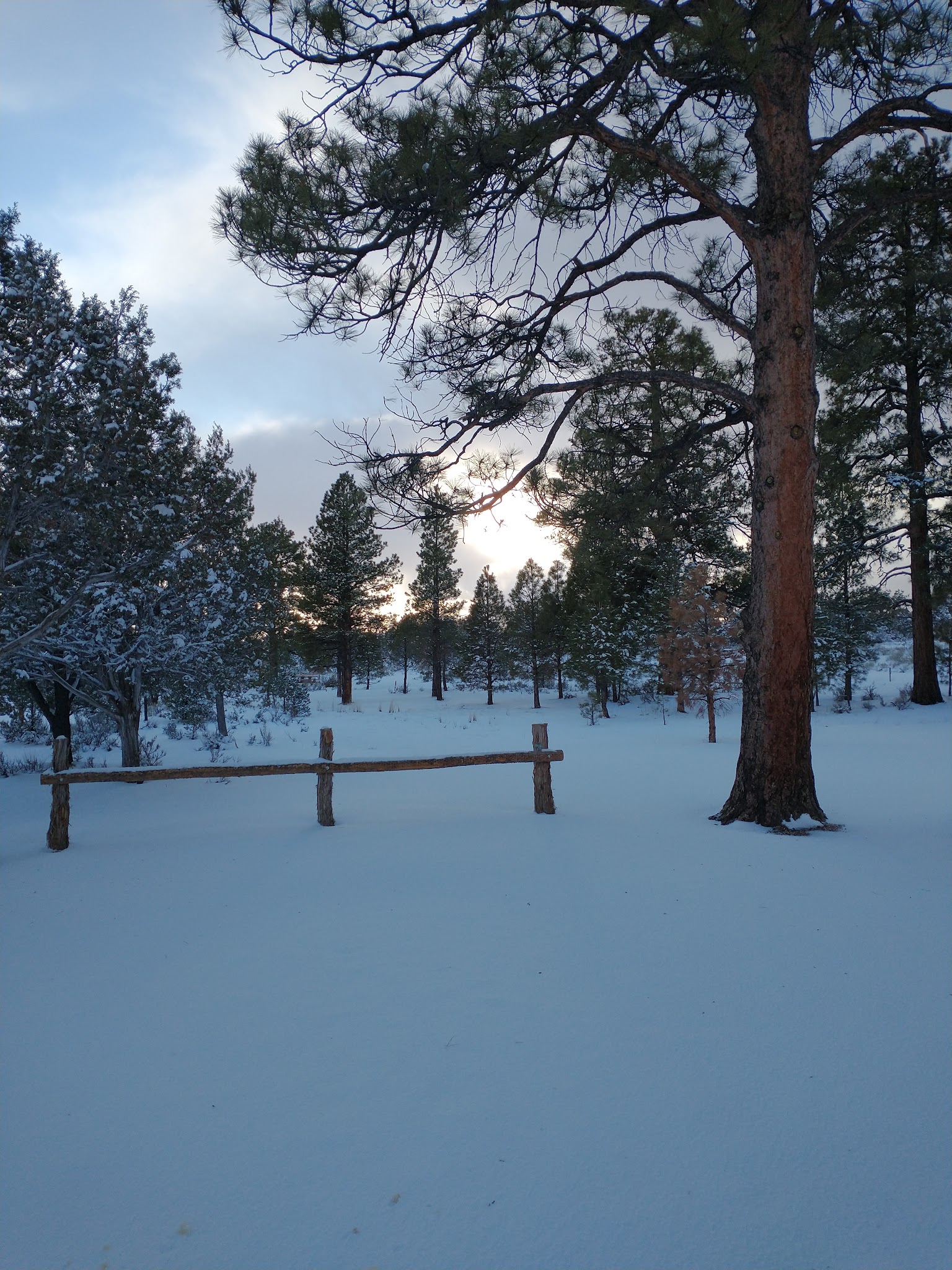Ponderosa Grove Campground