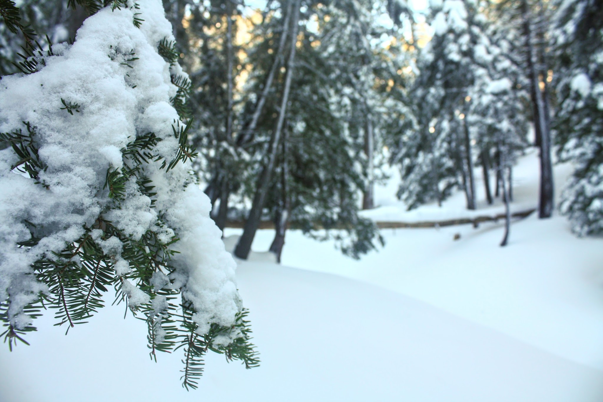 Appletree Campground