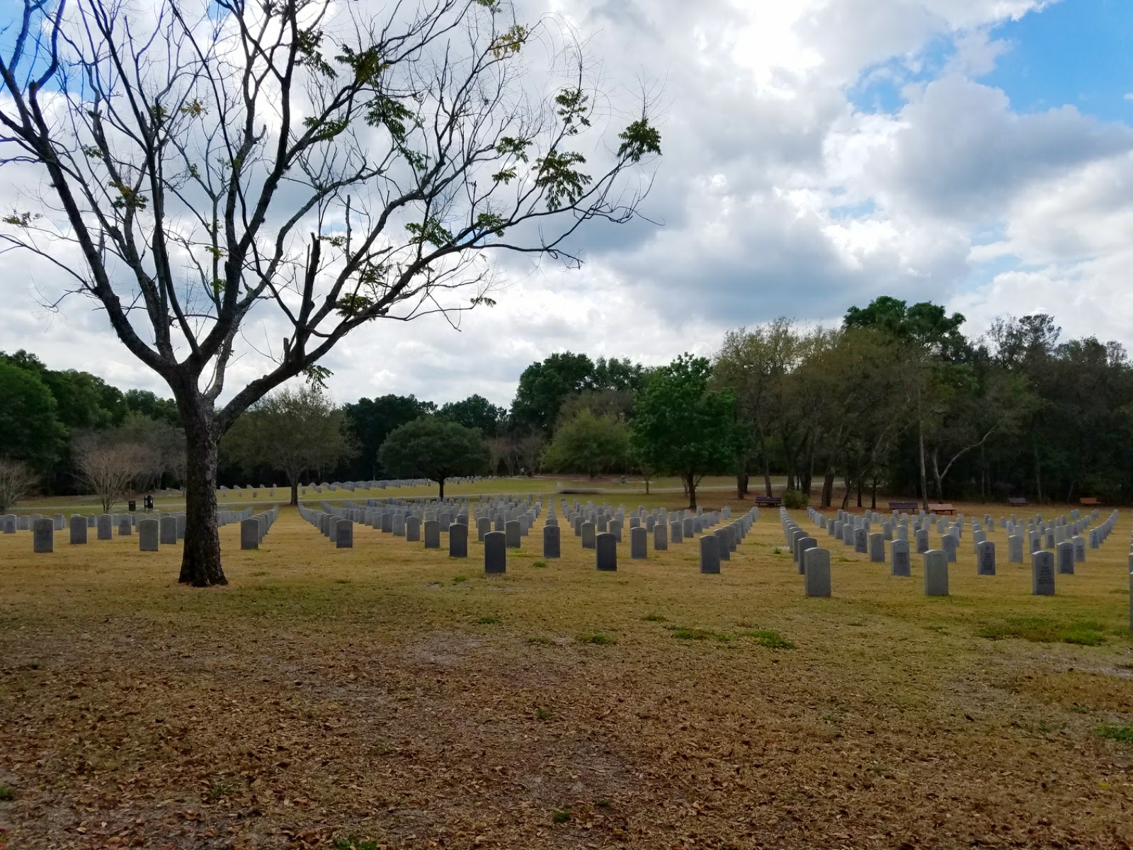 Crooked River Campground Withlacoochee State Forest