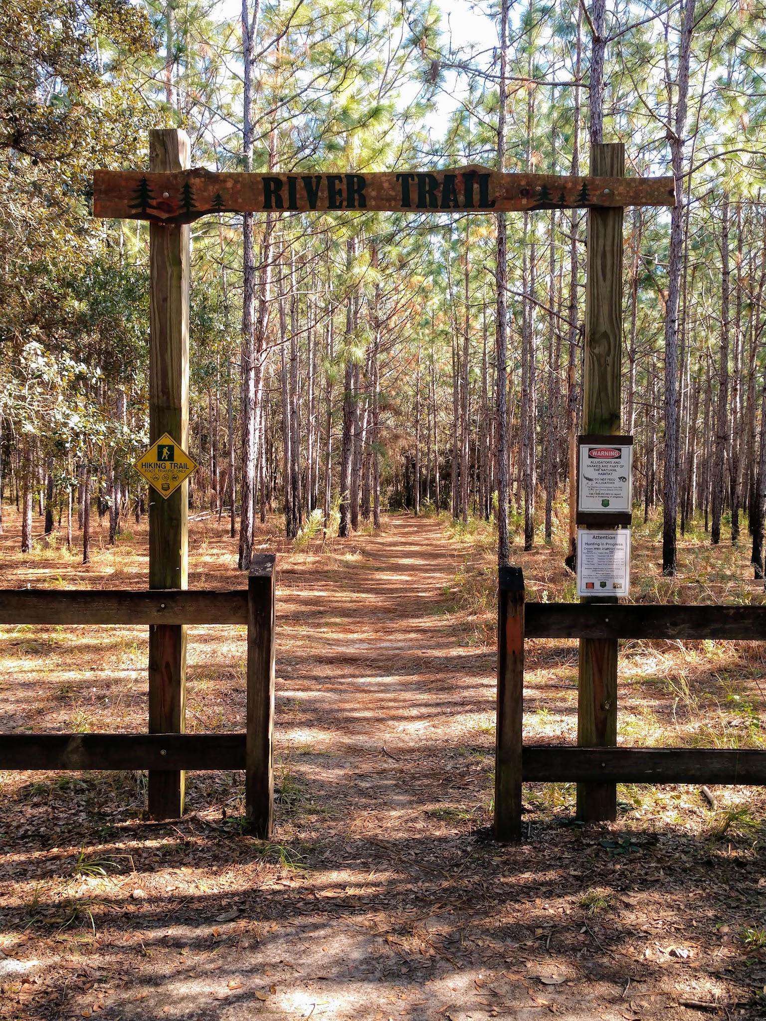 Crooked River Group Camp Withlacoochee State Forest