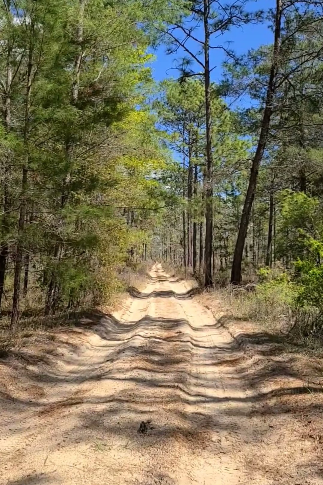 Crooked River Campground Withlacoochee State Forest