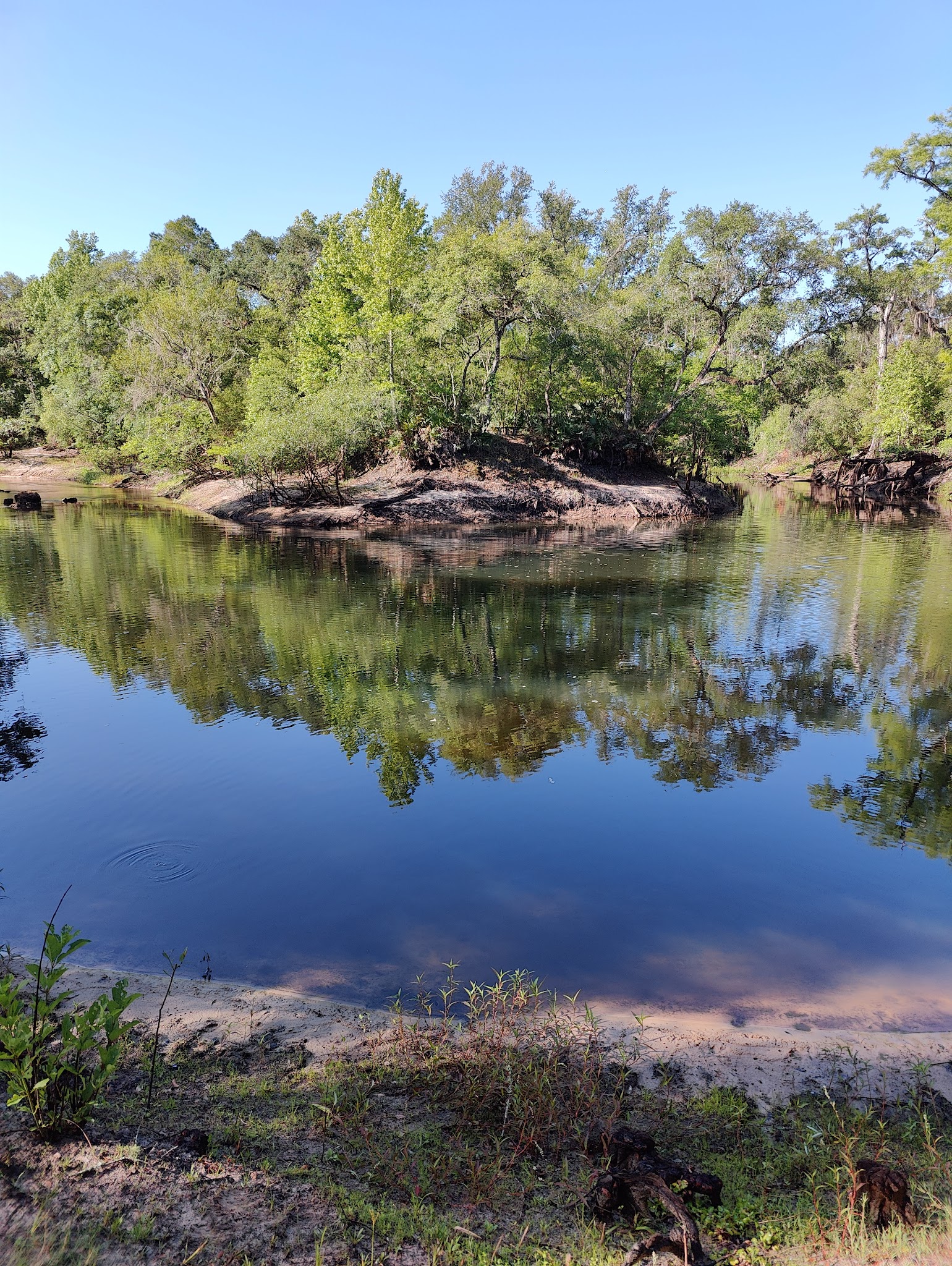Crooked River Group Camp Withlacoochee State Forest