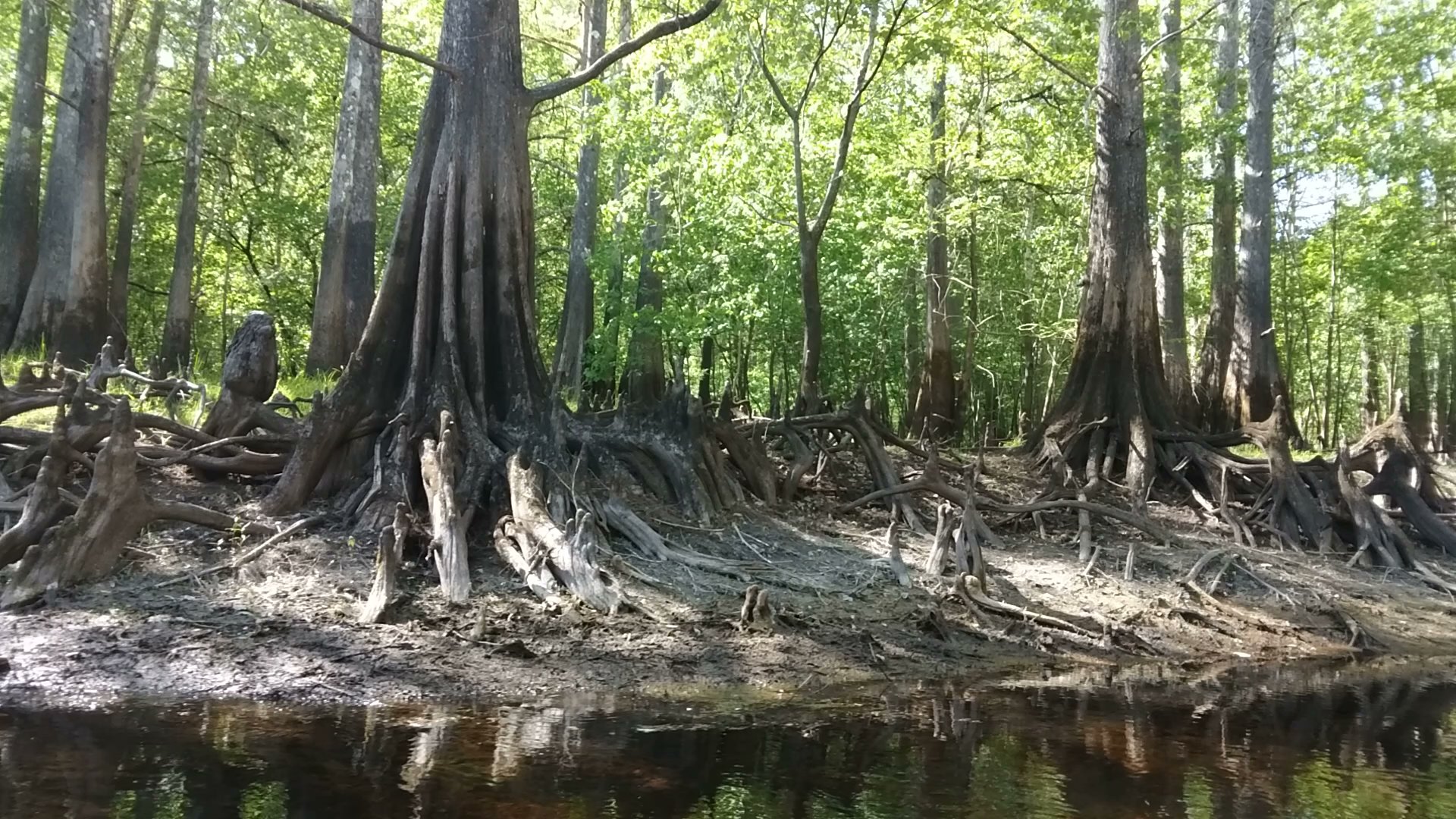 Crooked River Campground Withlacoochee State Forest