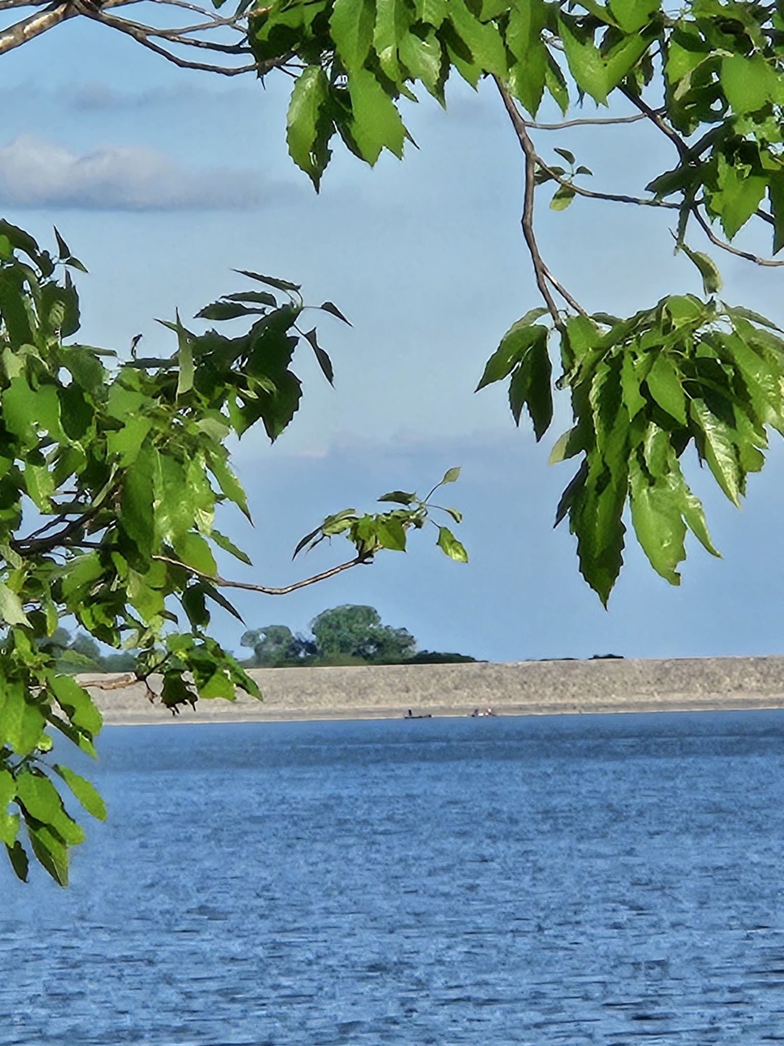 Wolf Creek (Navarro Mills Lake)