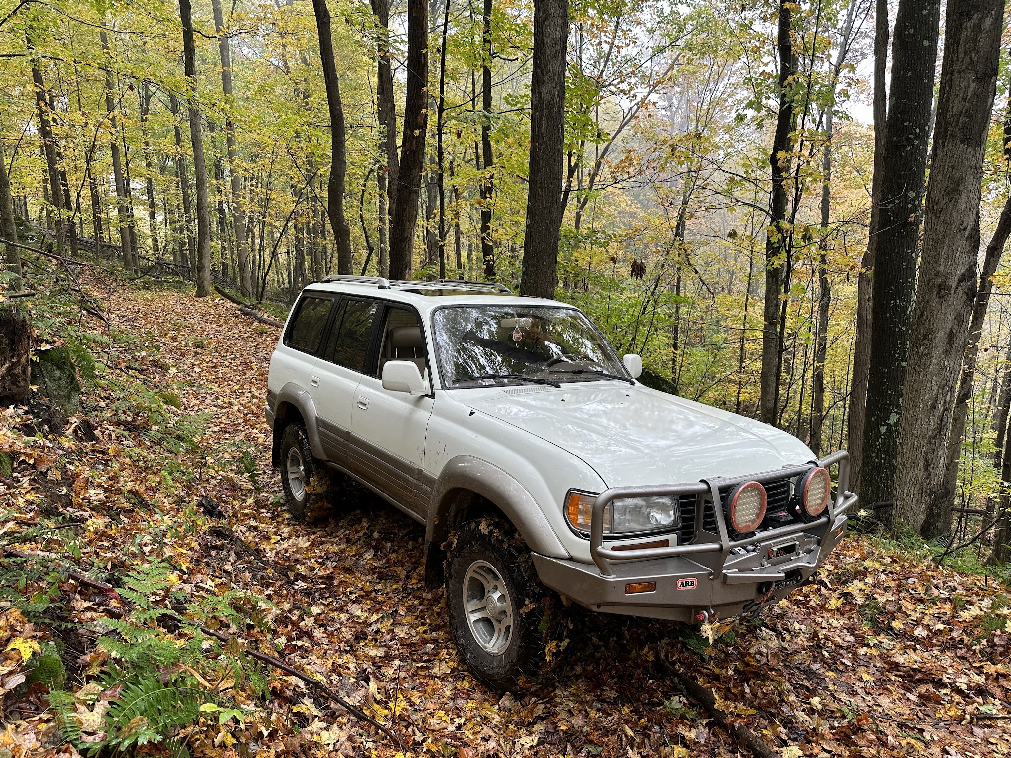 Wolf Den Run State Park