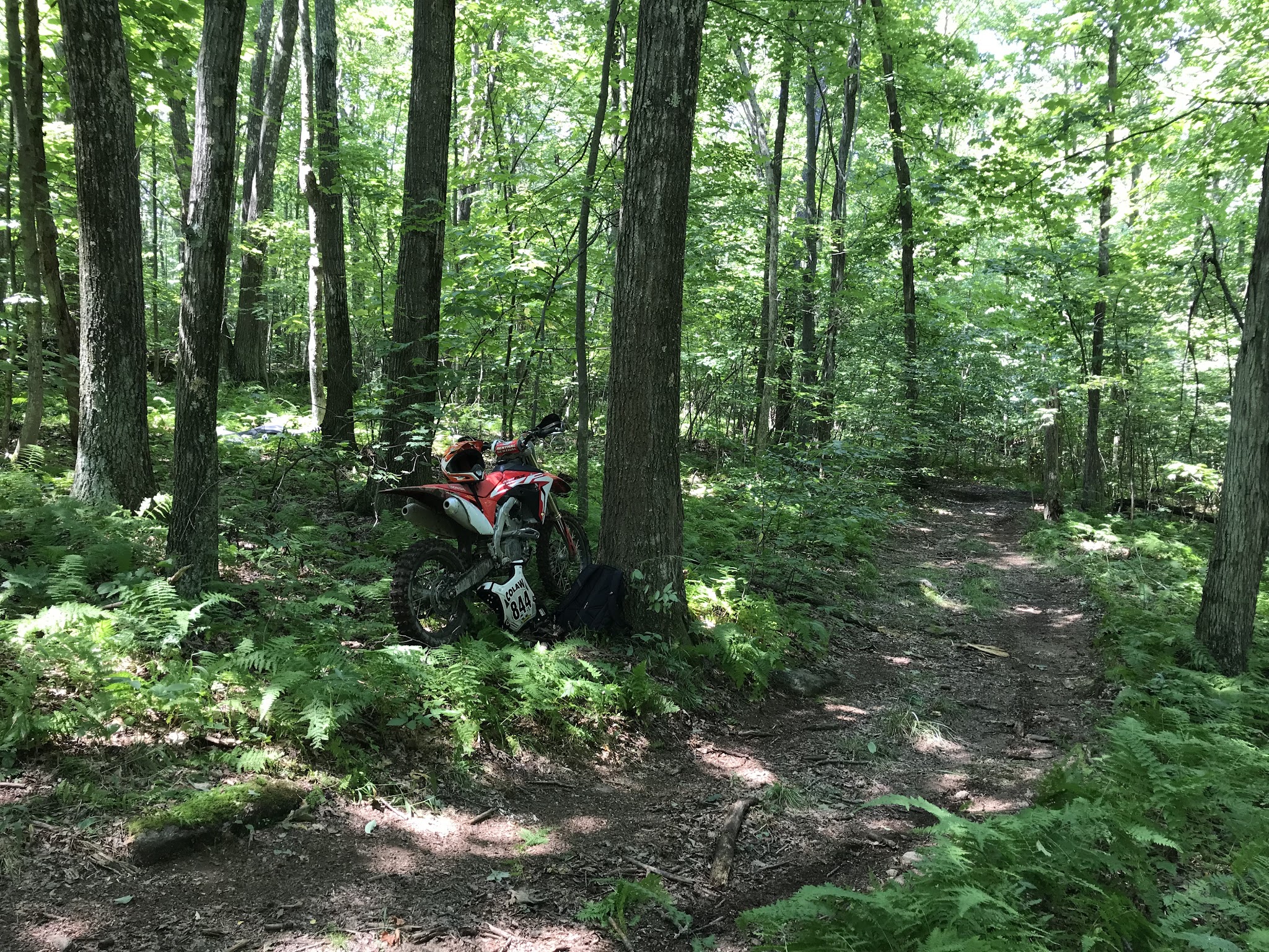 Wolf Den Run State Park