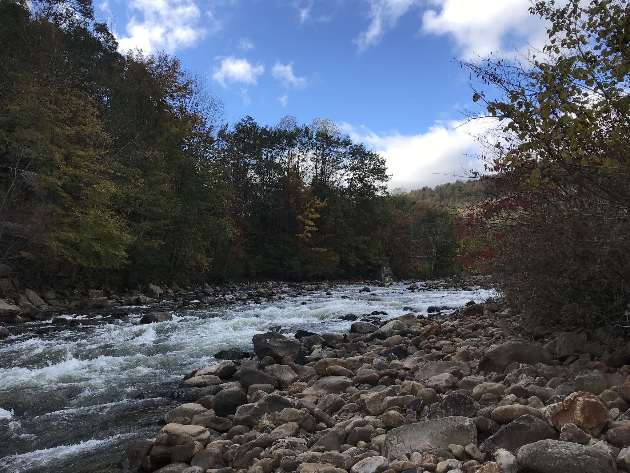 Wolf Den Run State Park