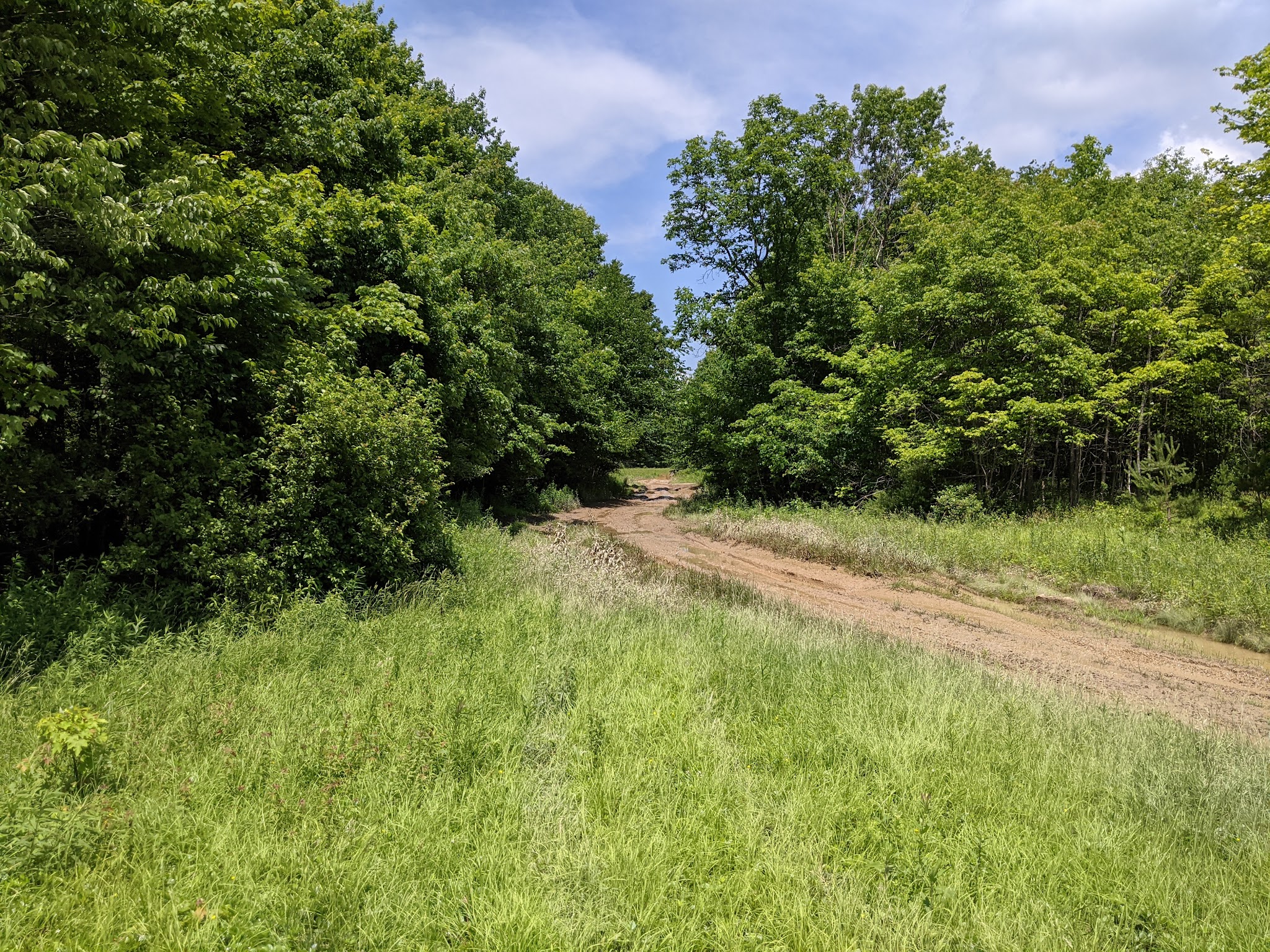 Wolf Den Run State Park