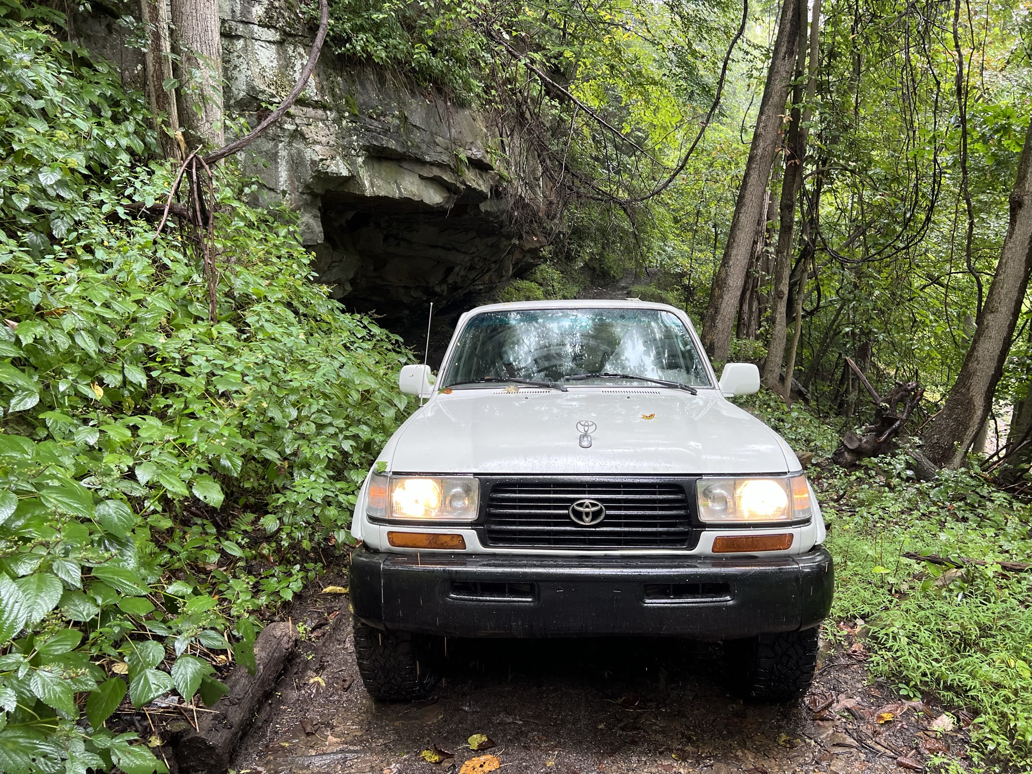 Wolf Den Run State Park
