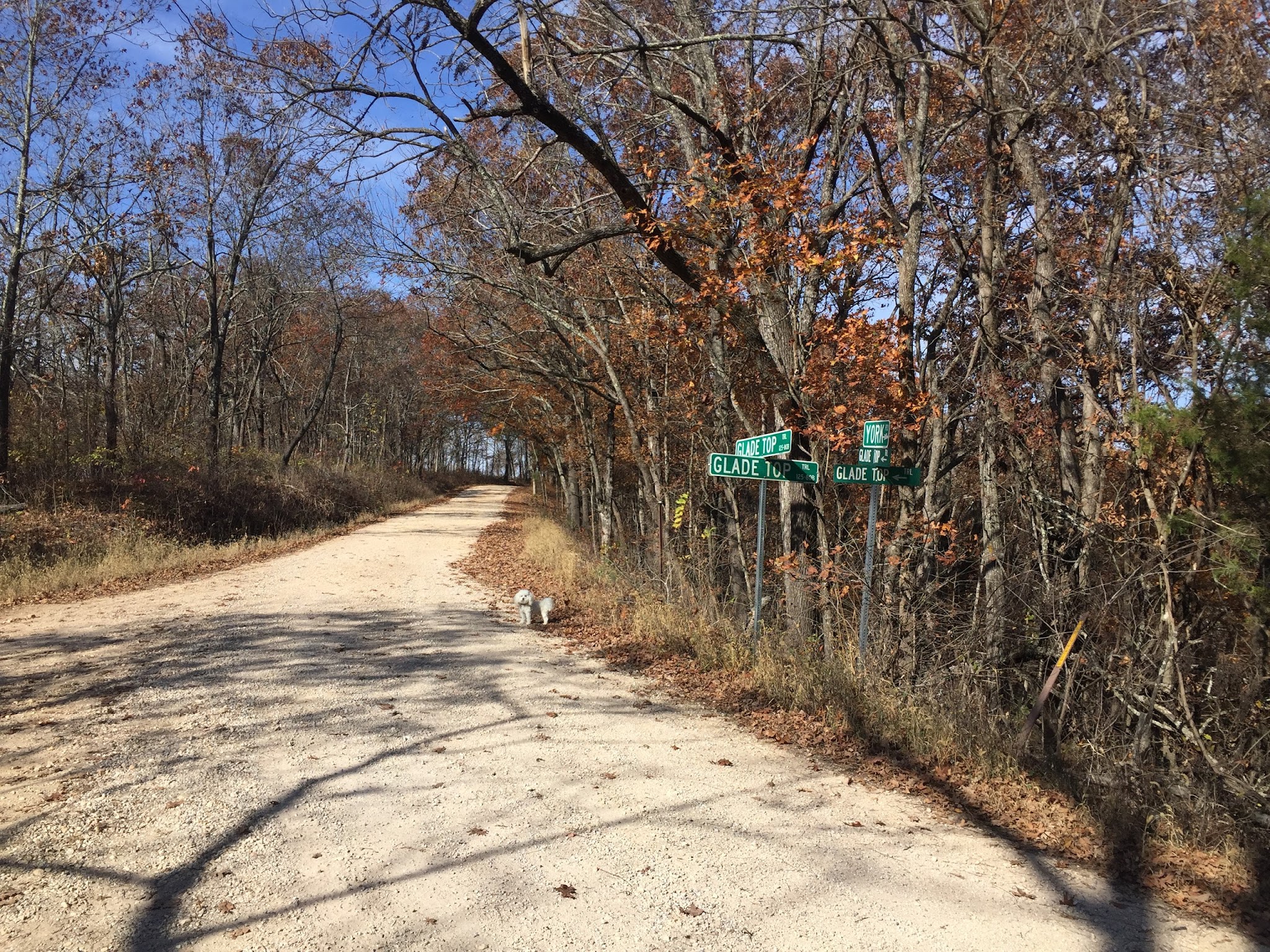 Wolf Junction (Gtt Stop 7)