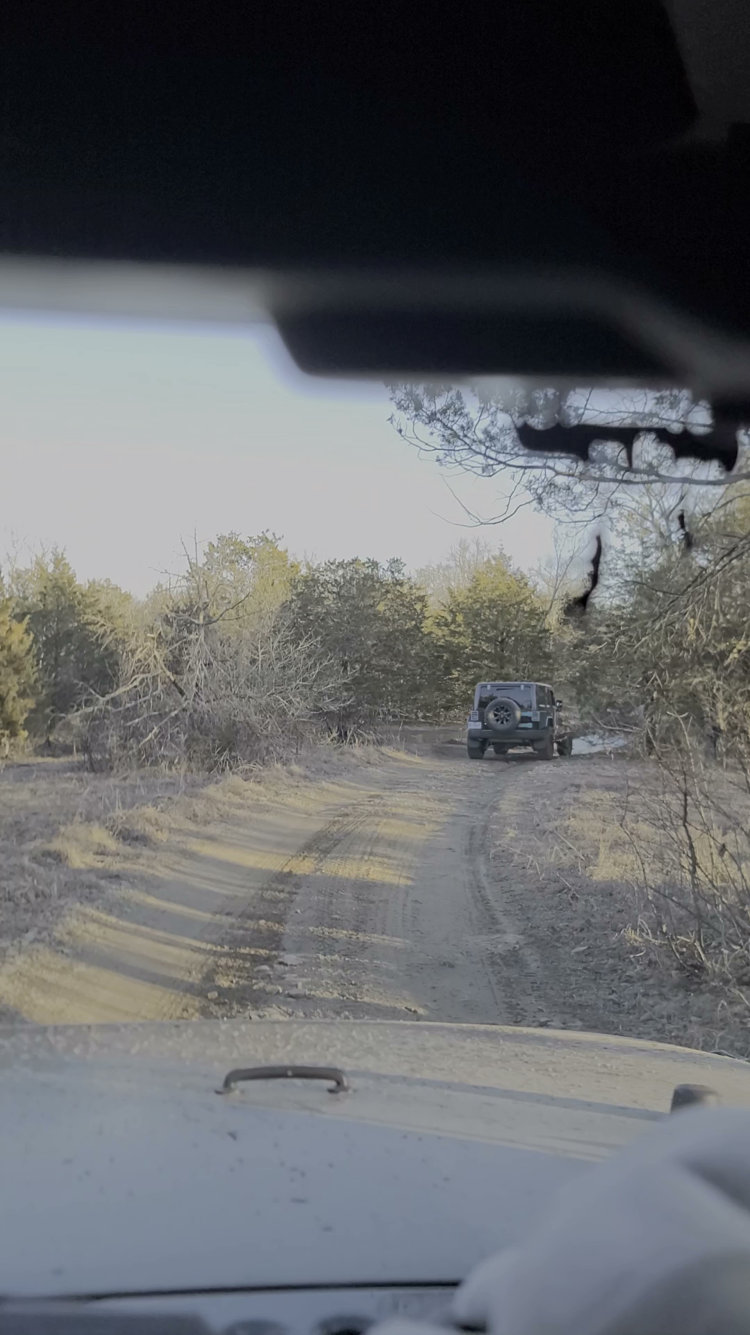 Wolf Junction (Gtt Stop 7)