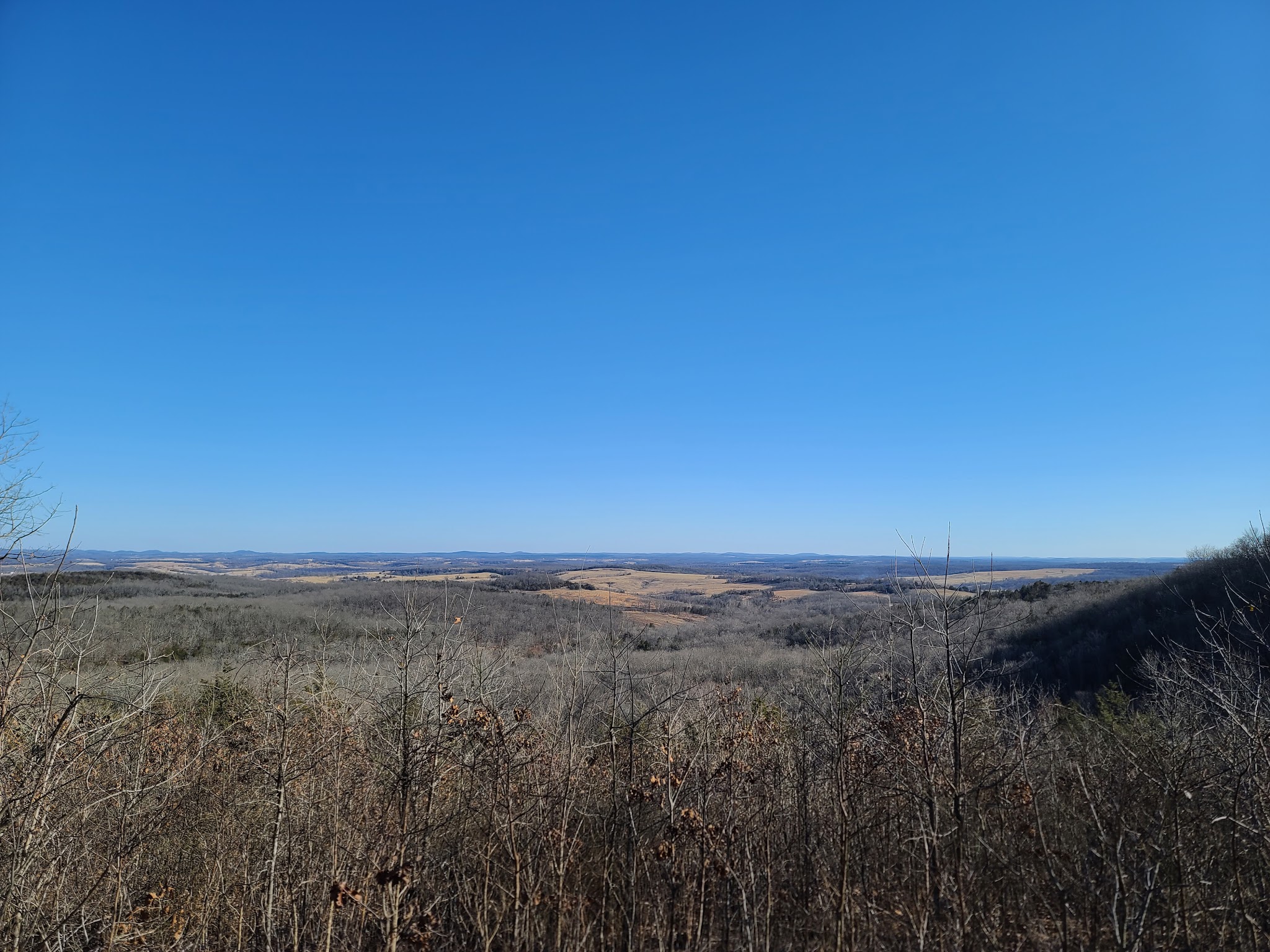 Wolf Junction (Gtt Stop 7)