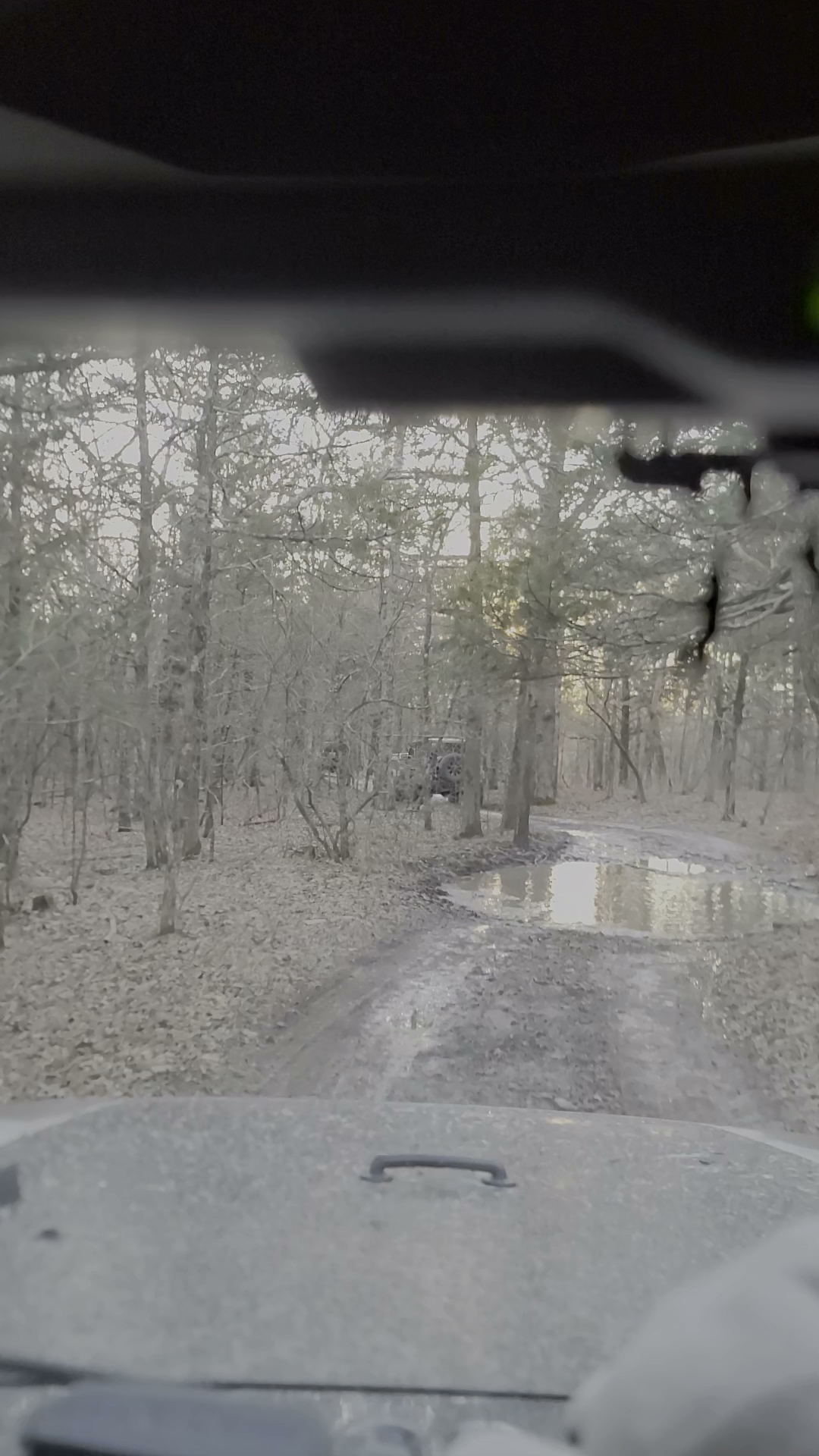 Wolf Junction (Gtt Stop 7)