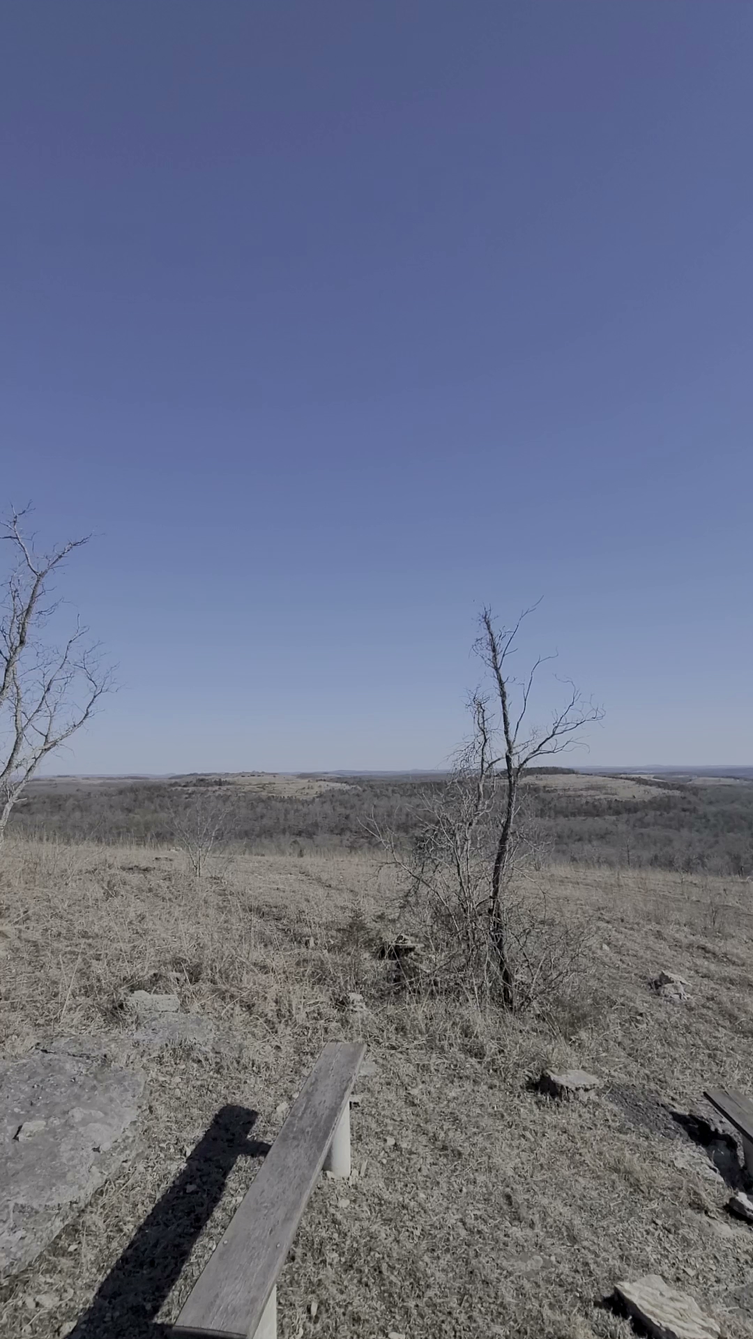 Wolf Junction (Gtt Stop 7)