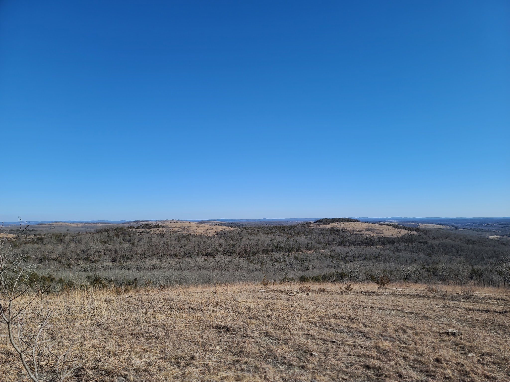 Wolf Junction (Gtt Stop 7)