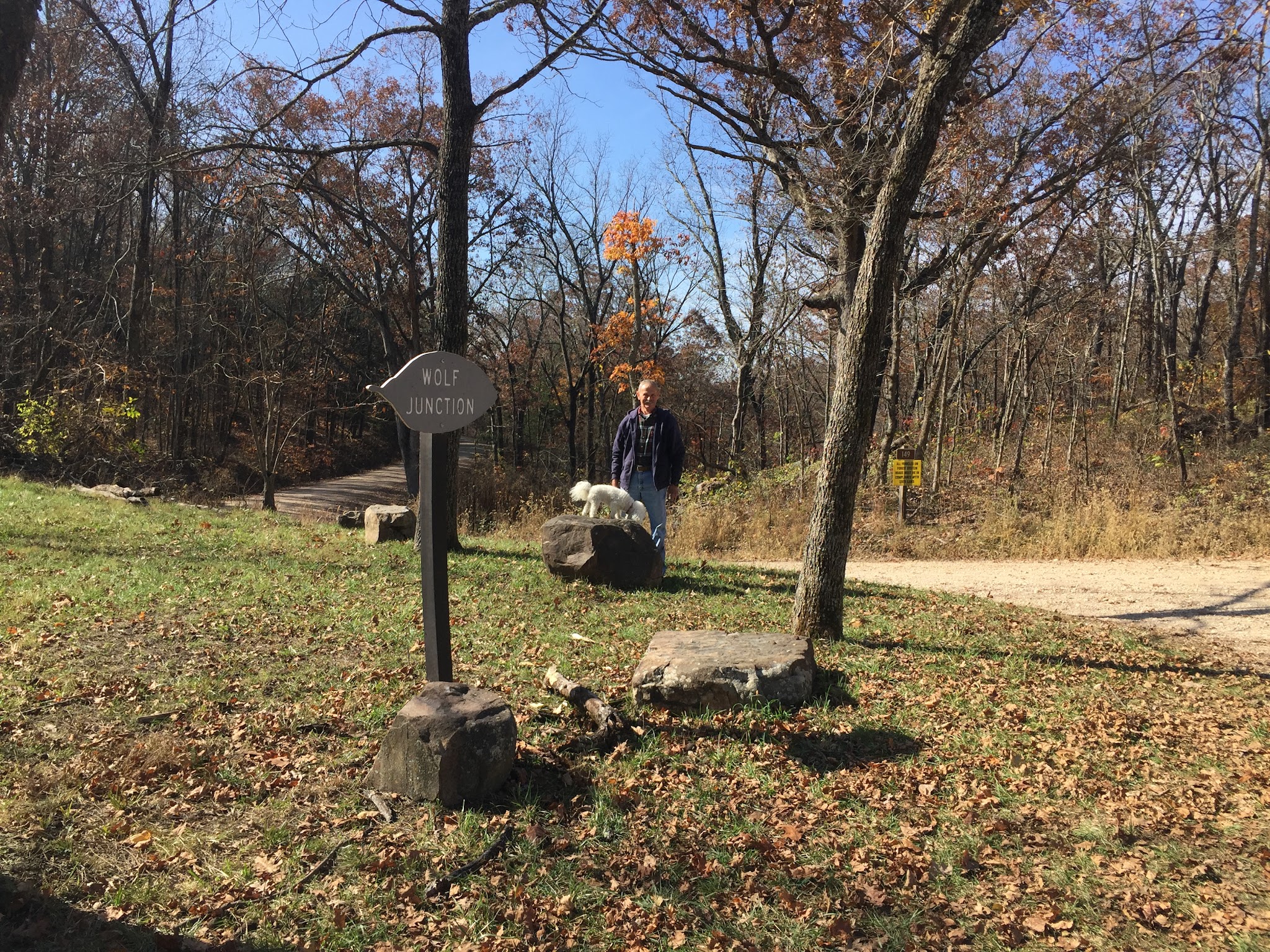 Wolf Junction (Gtt Stop 7)