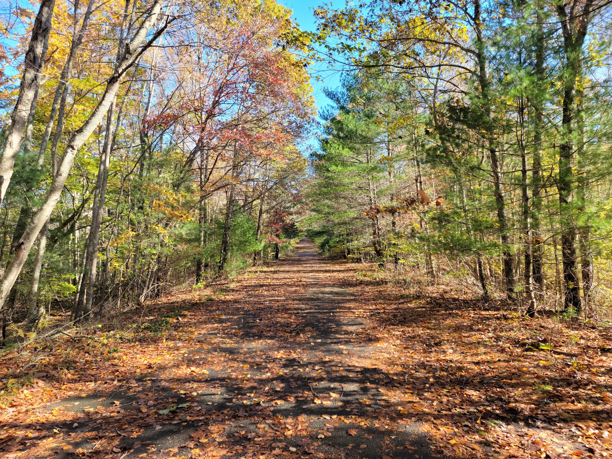 Wompatuck State Park