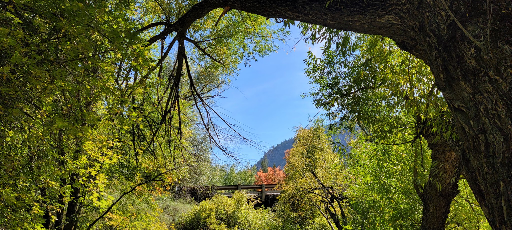 Wood Camp Campground (Ut)