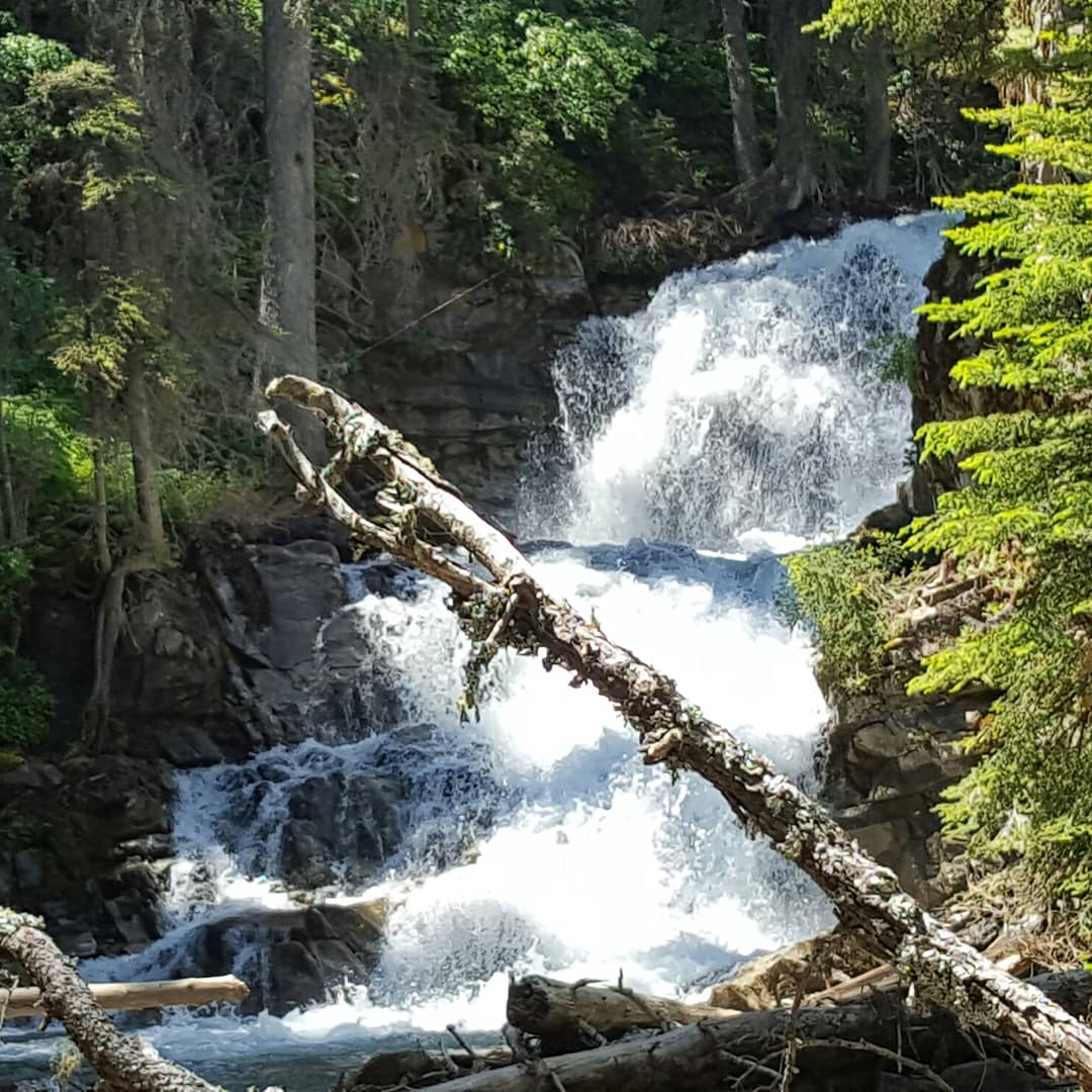 Wood Lake Campground