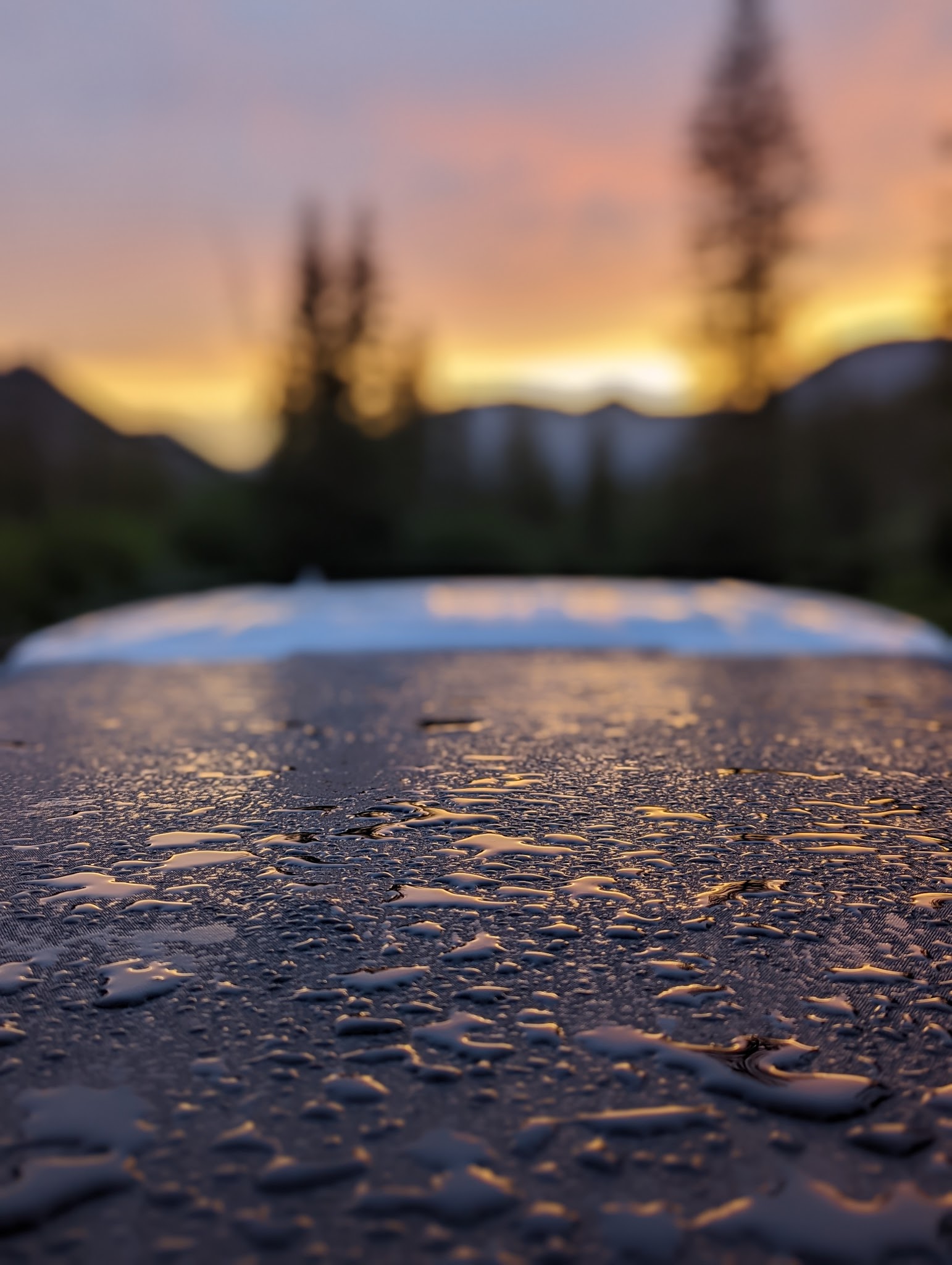 Wood River Campground