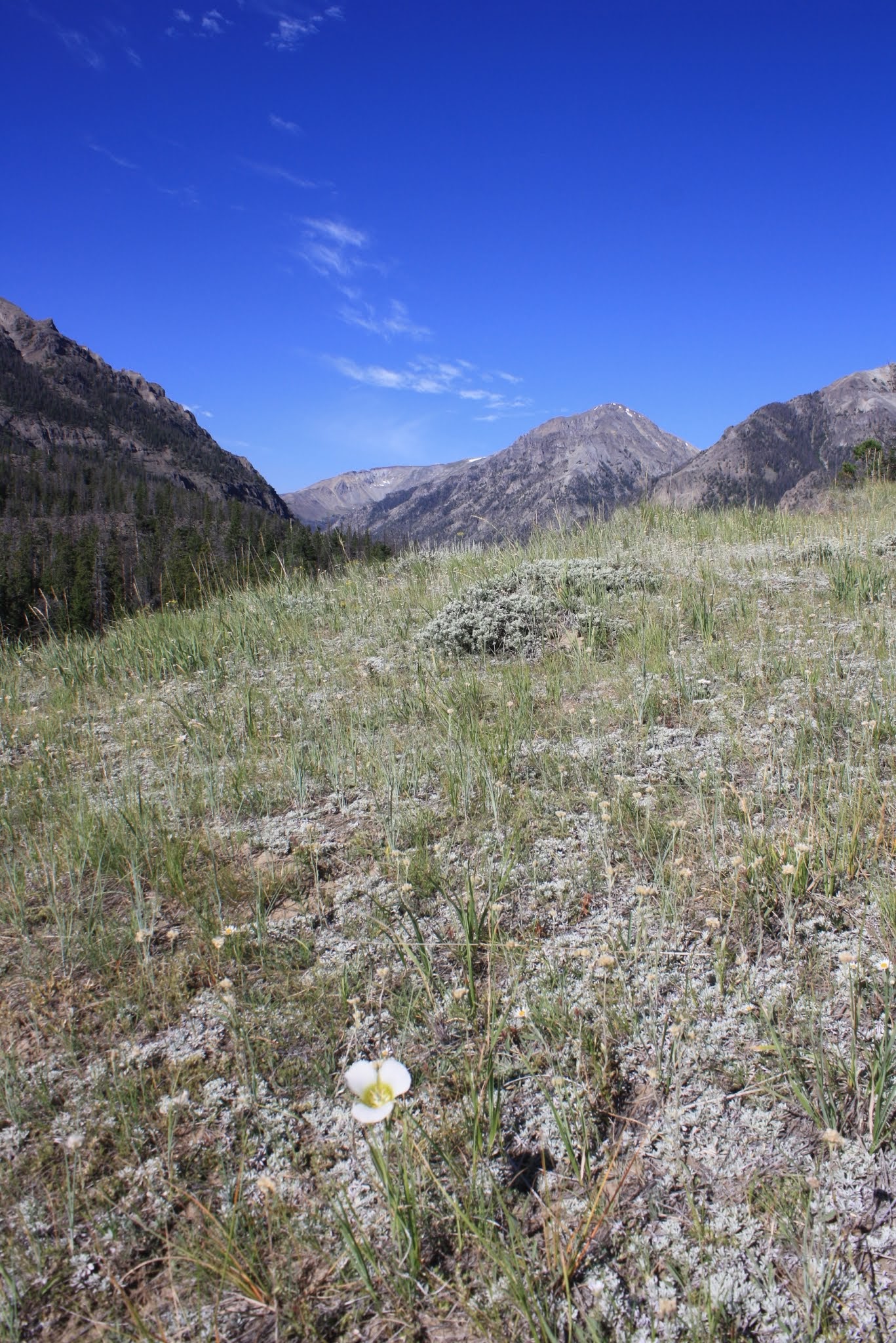 Wood River Campground