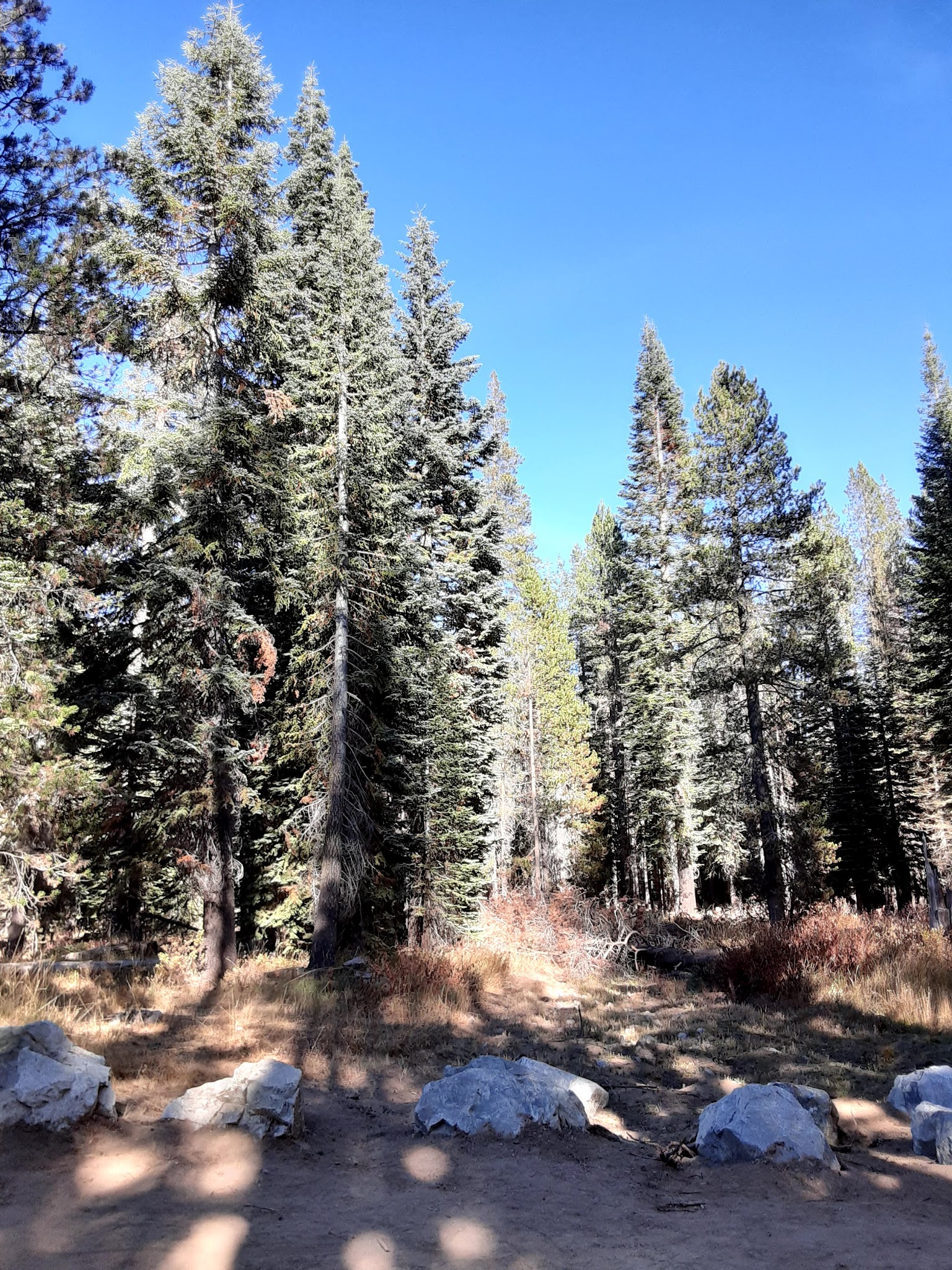 Woodchuck Campground