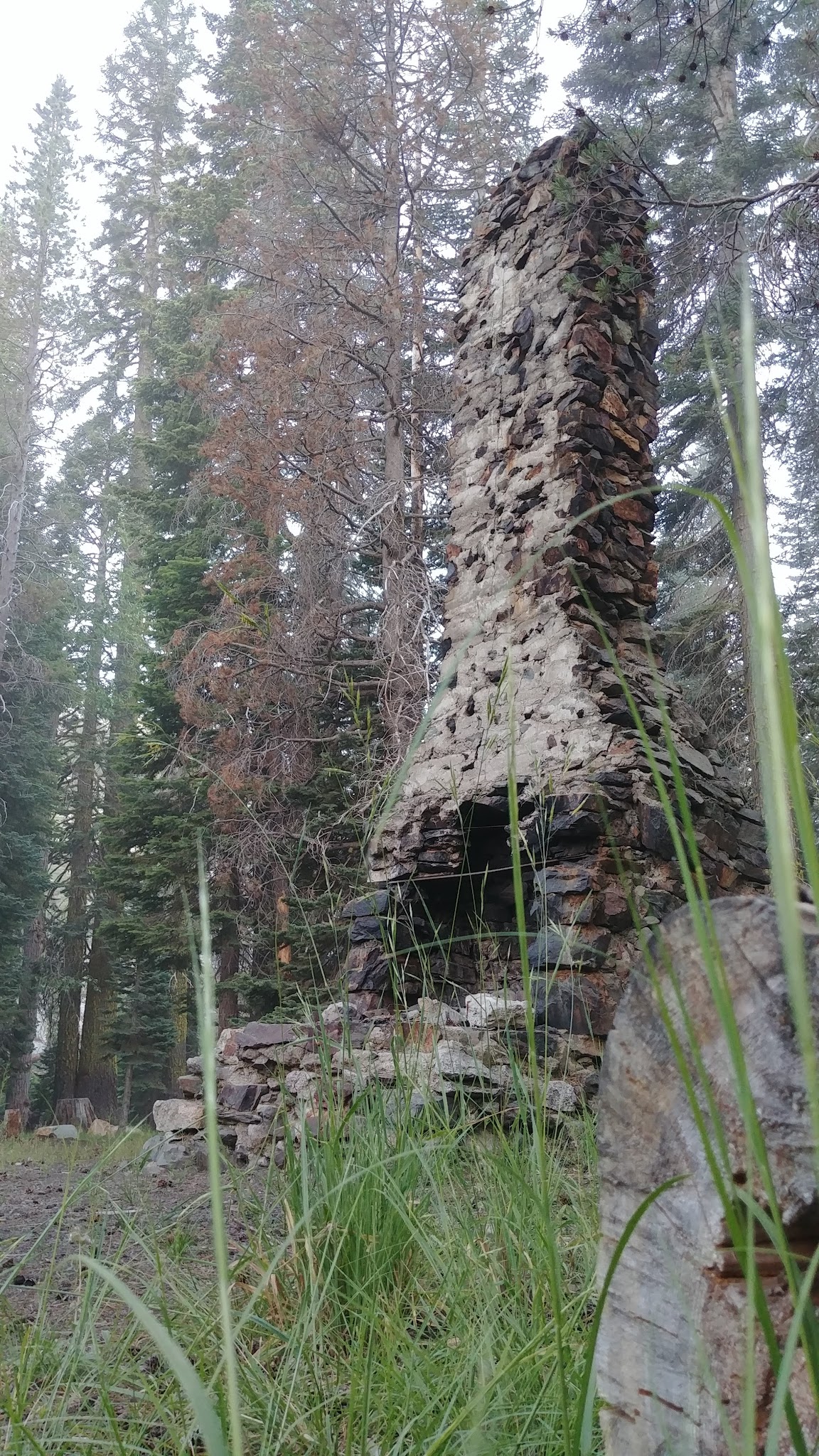 Woodchuck Campground
