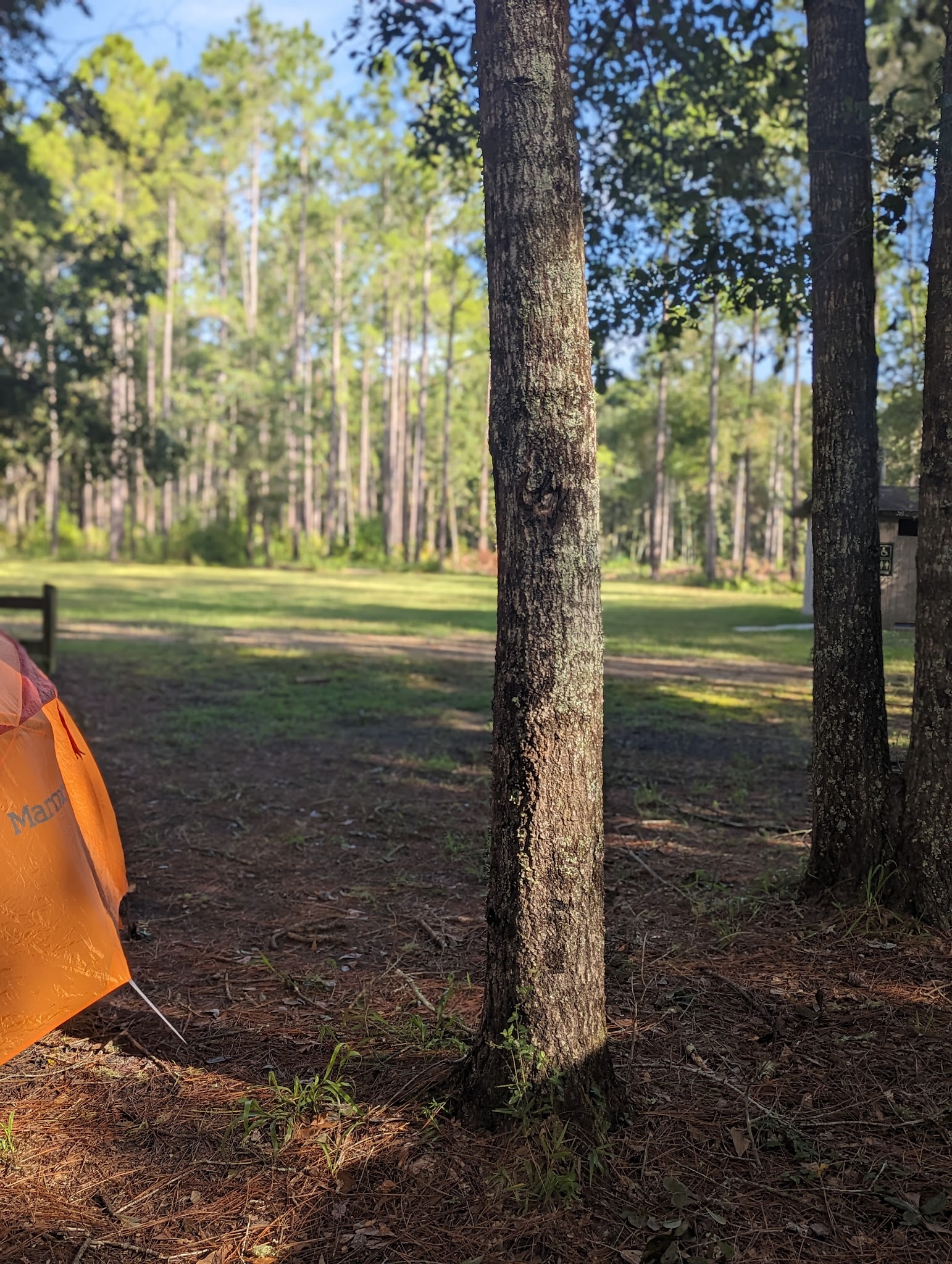 Tate&Apos;S Hell State Forest Womack Creek Campground