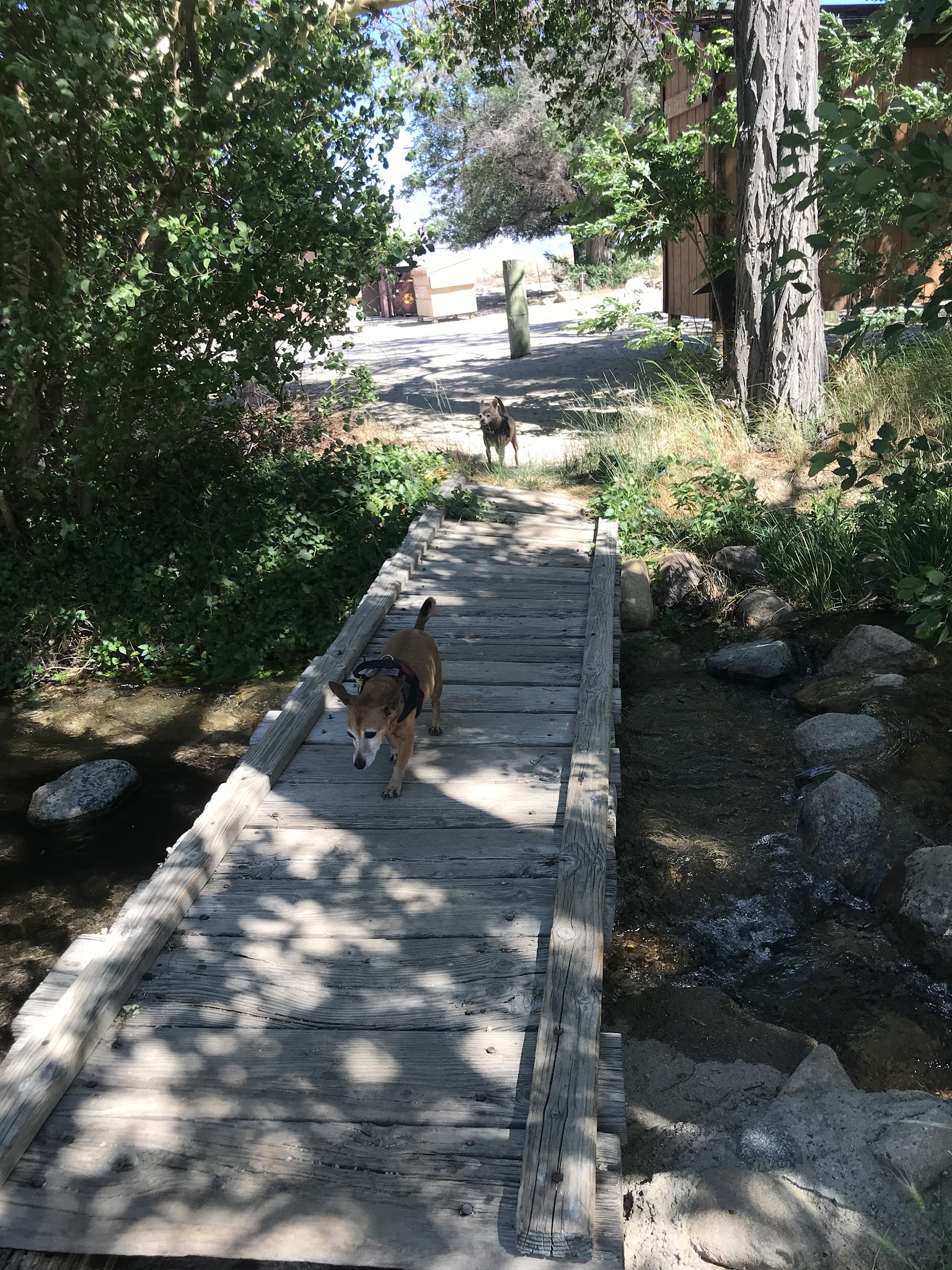 Independence Creek Campground