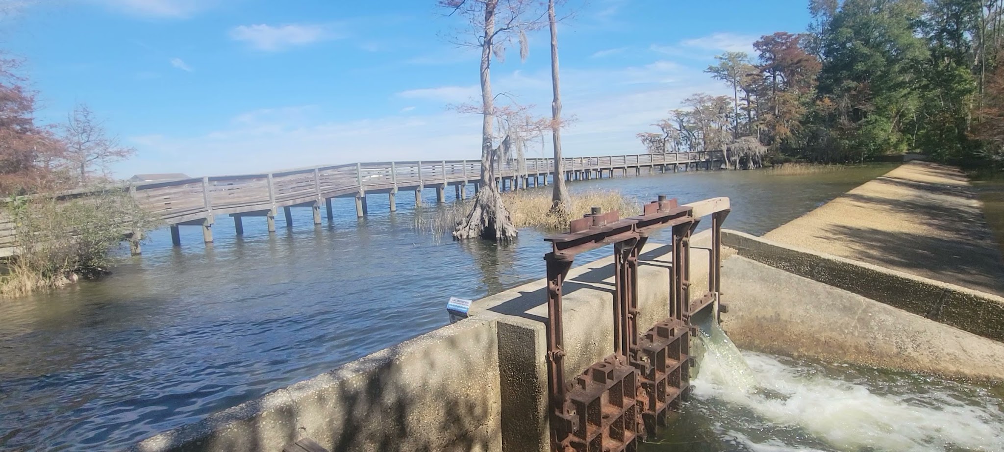 Lake Waccamaw State Park