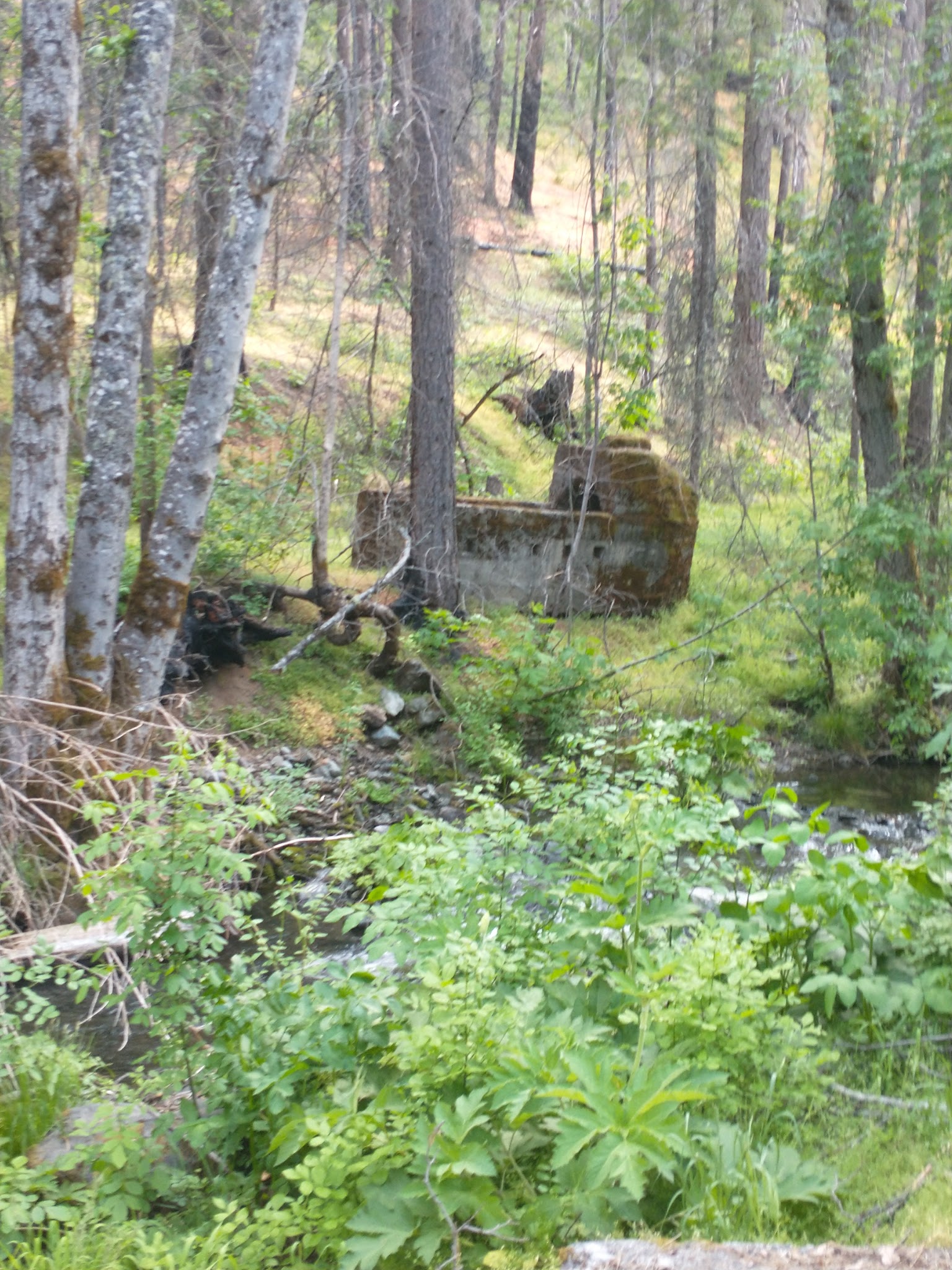 Basin Gulch Campground