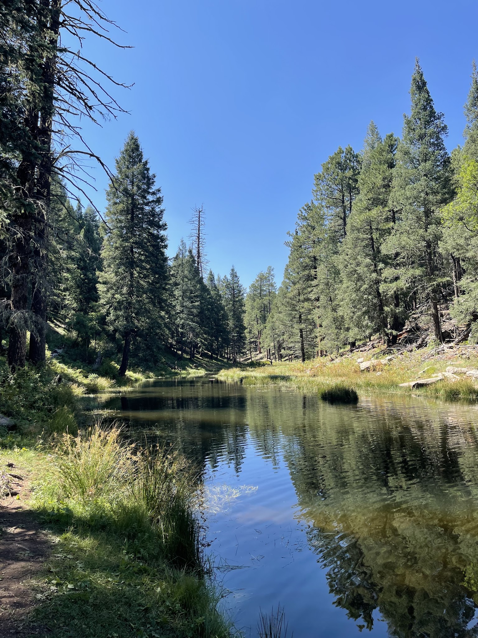 Woods Canyon Lake Group