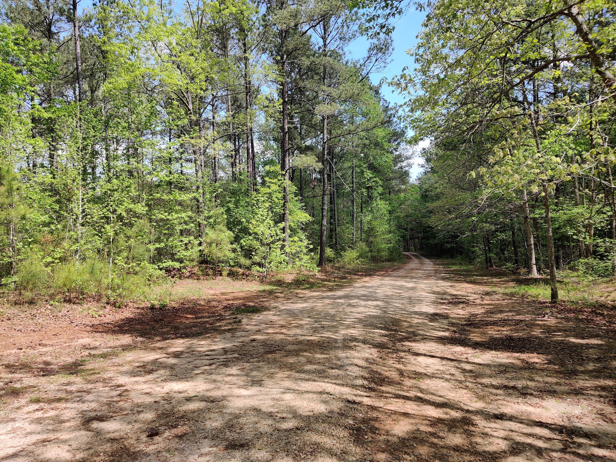 Woods Ferry Recreation Area