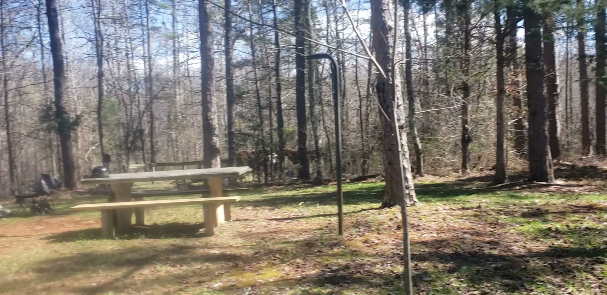 Woods Ferry Recreation Area