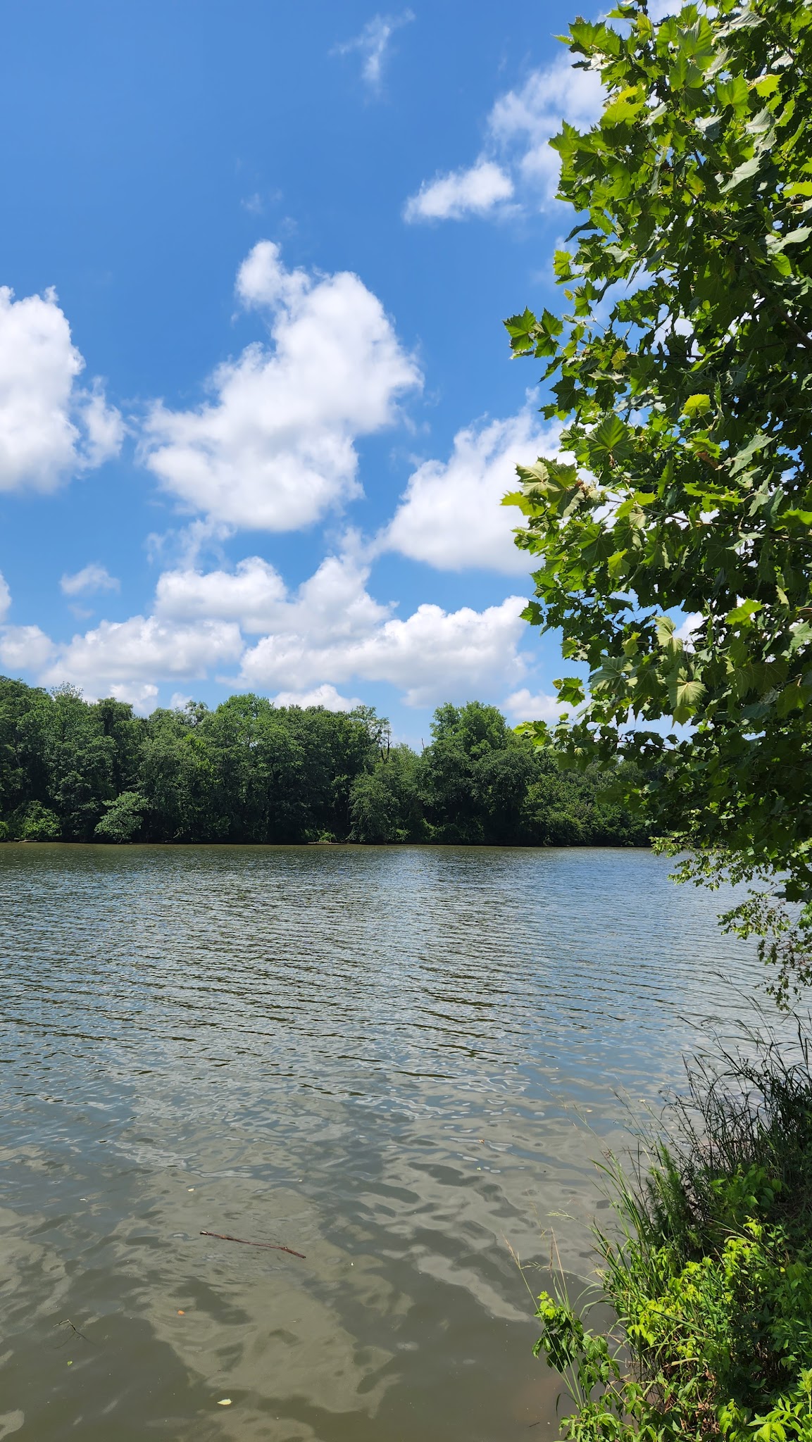 Woods Ferry Campground (Sc)