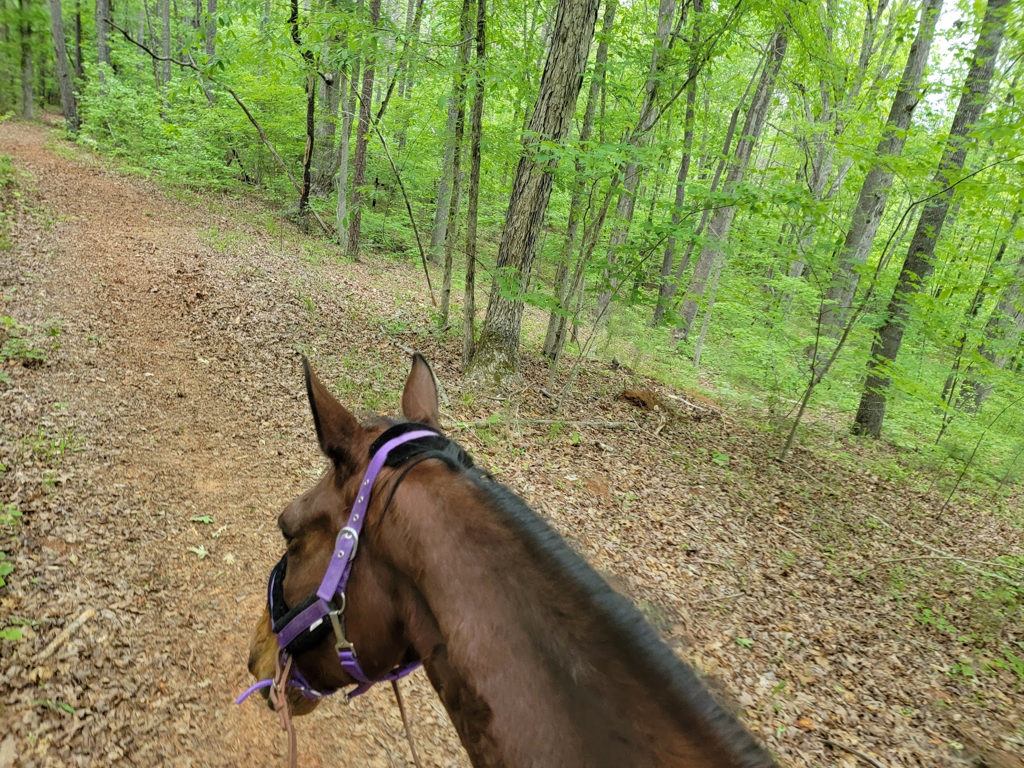 Woods Ferry Recreation Area