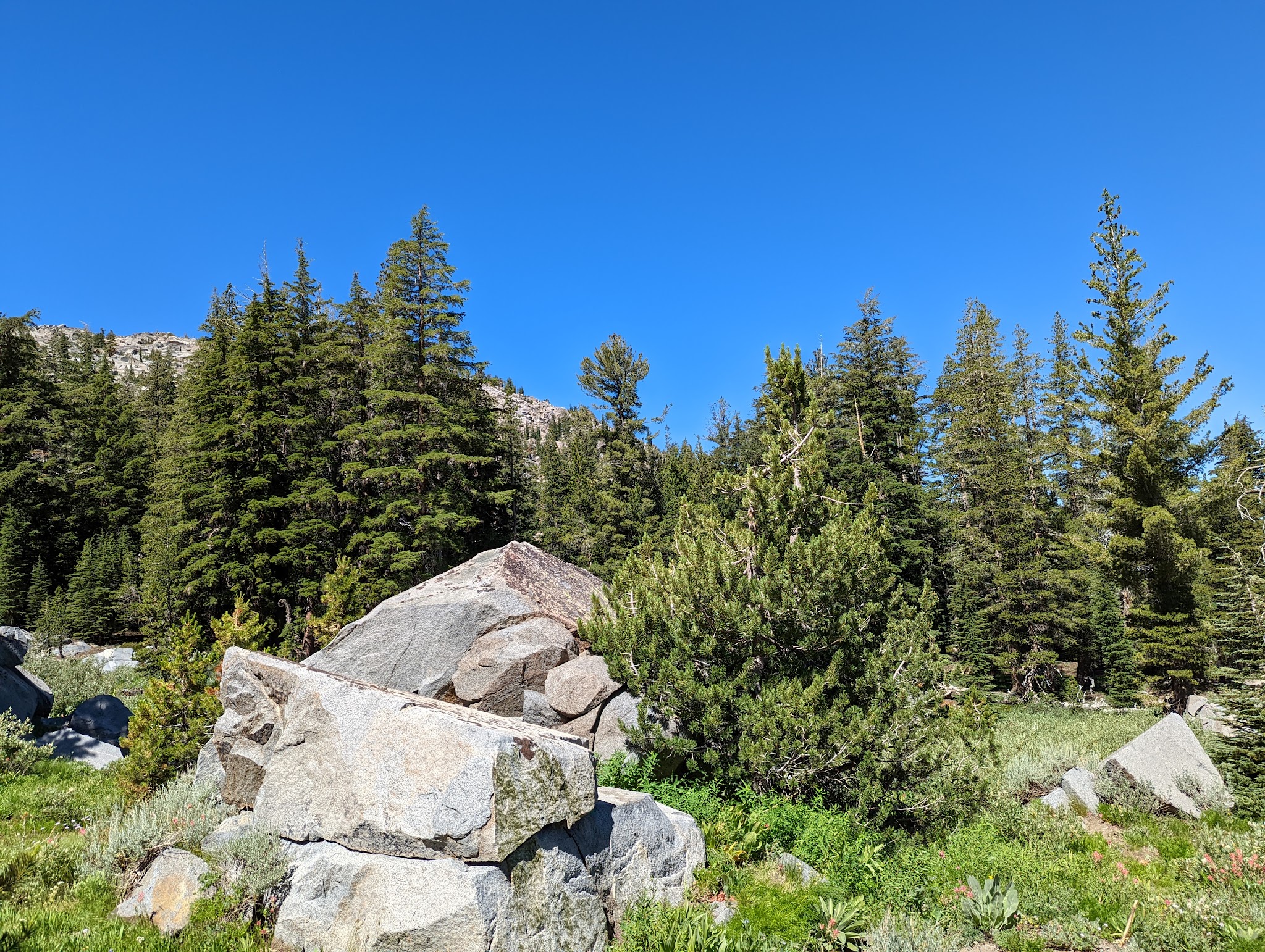 Woods Lake Campground