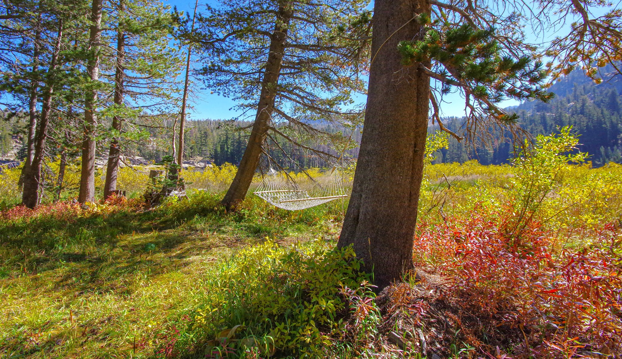 Woods Lake Campground
