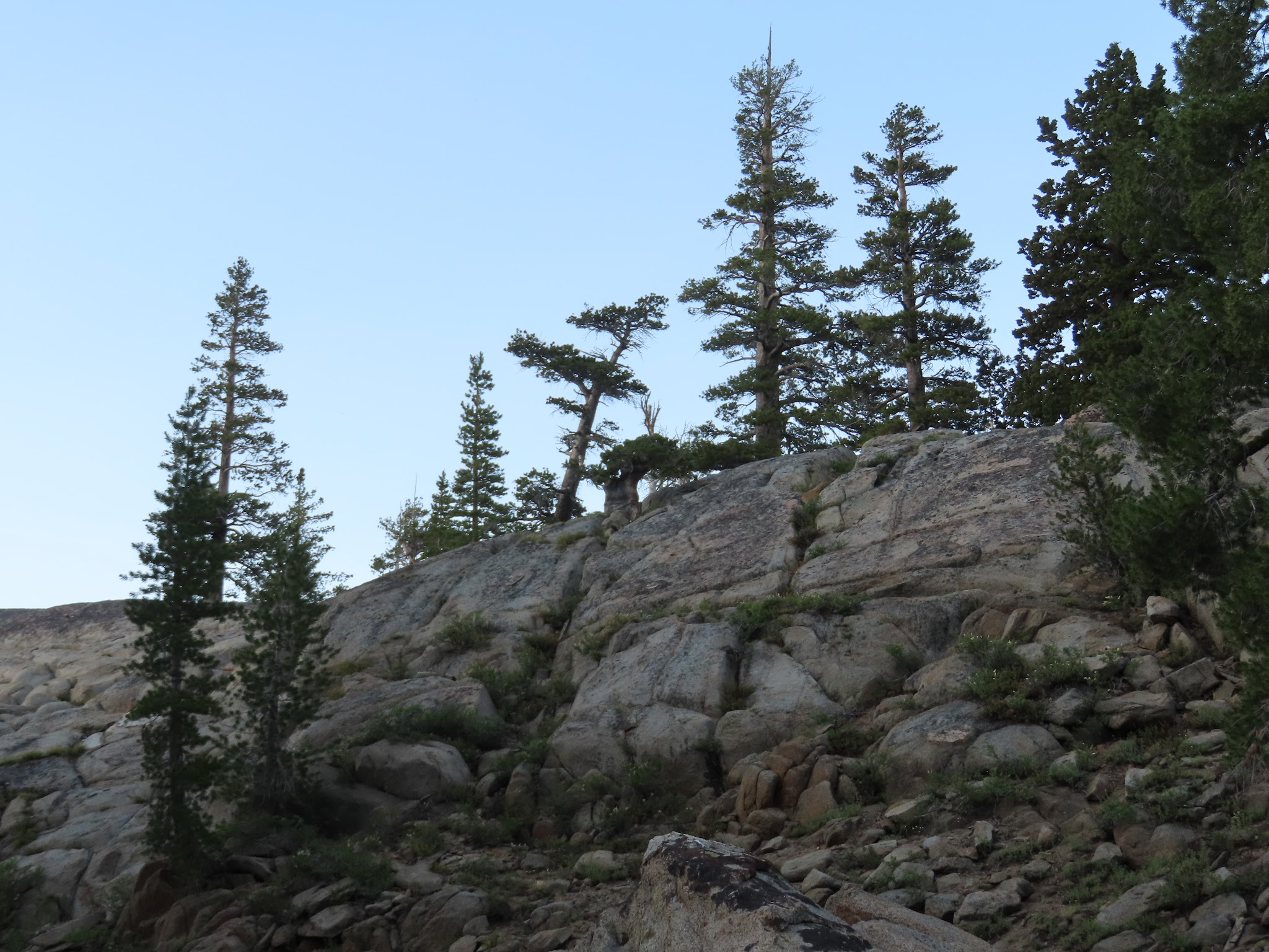 Woods Lake Campground